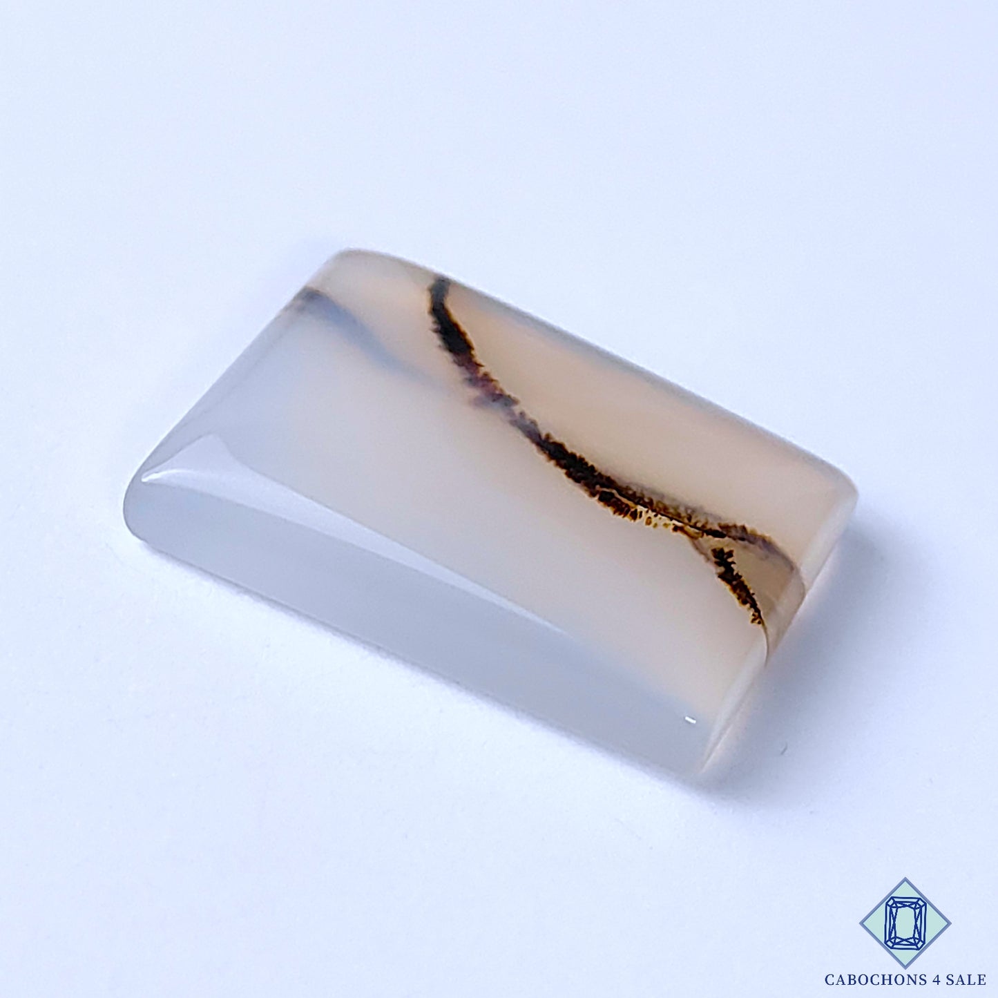 Dendritic Agate