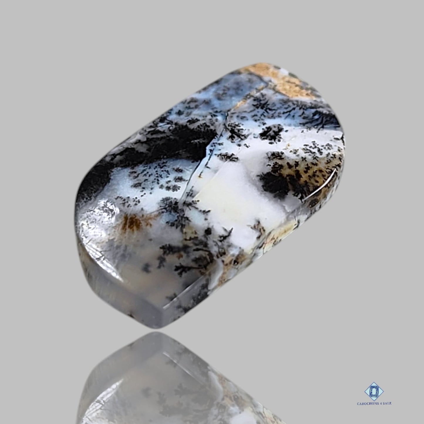 Cabujones de fantasía de ágata dendrítica