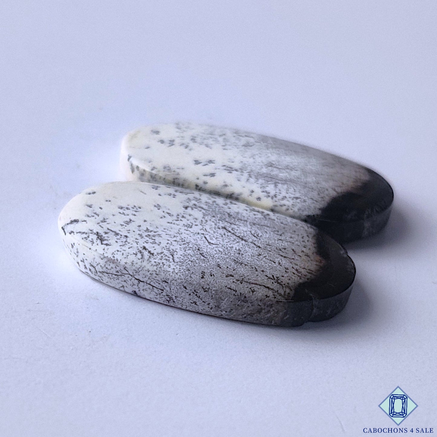 Dendritic Opal
