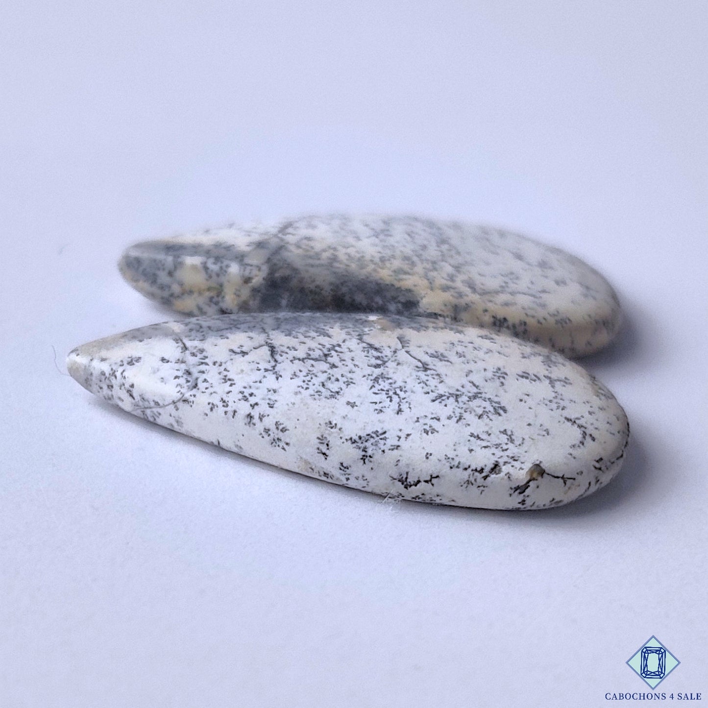 Dendritic Opal
