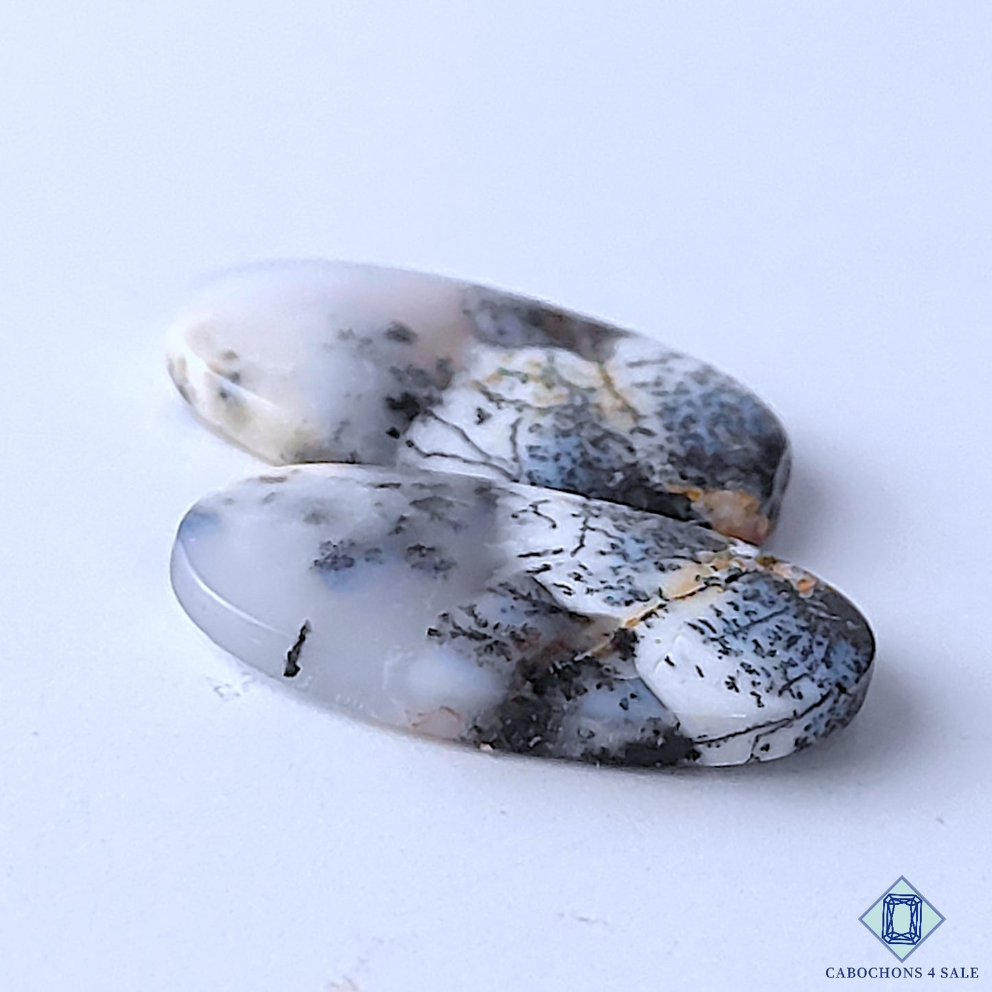 Dendritic Opal
