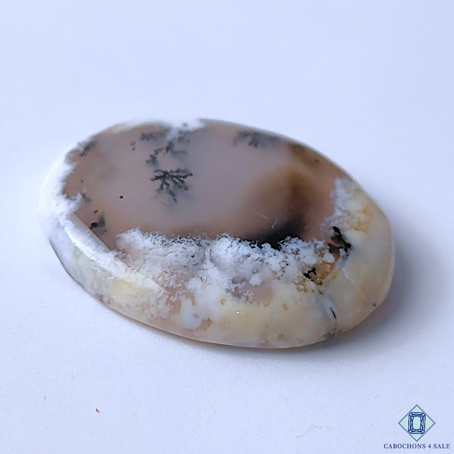 Dendritic Opal