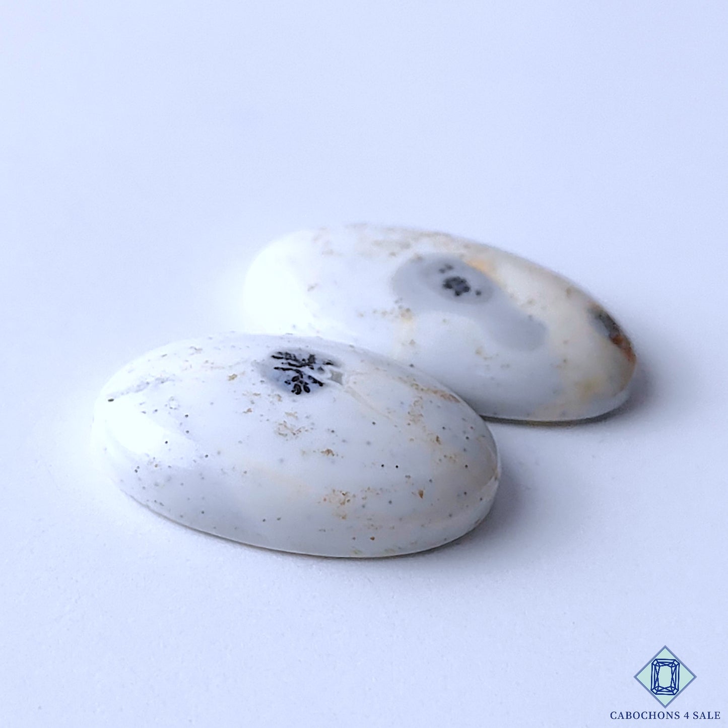 Dendritic Opal