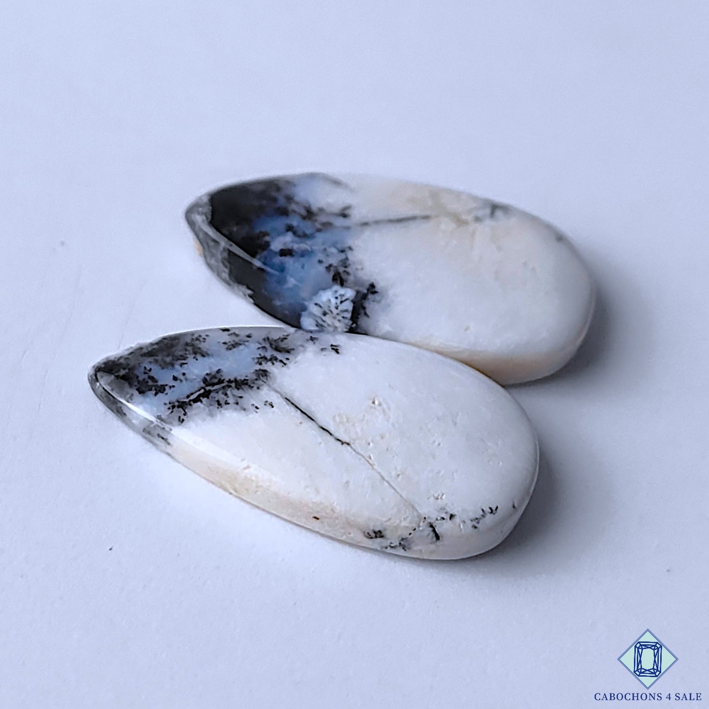 Dendritic Opal