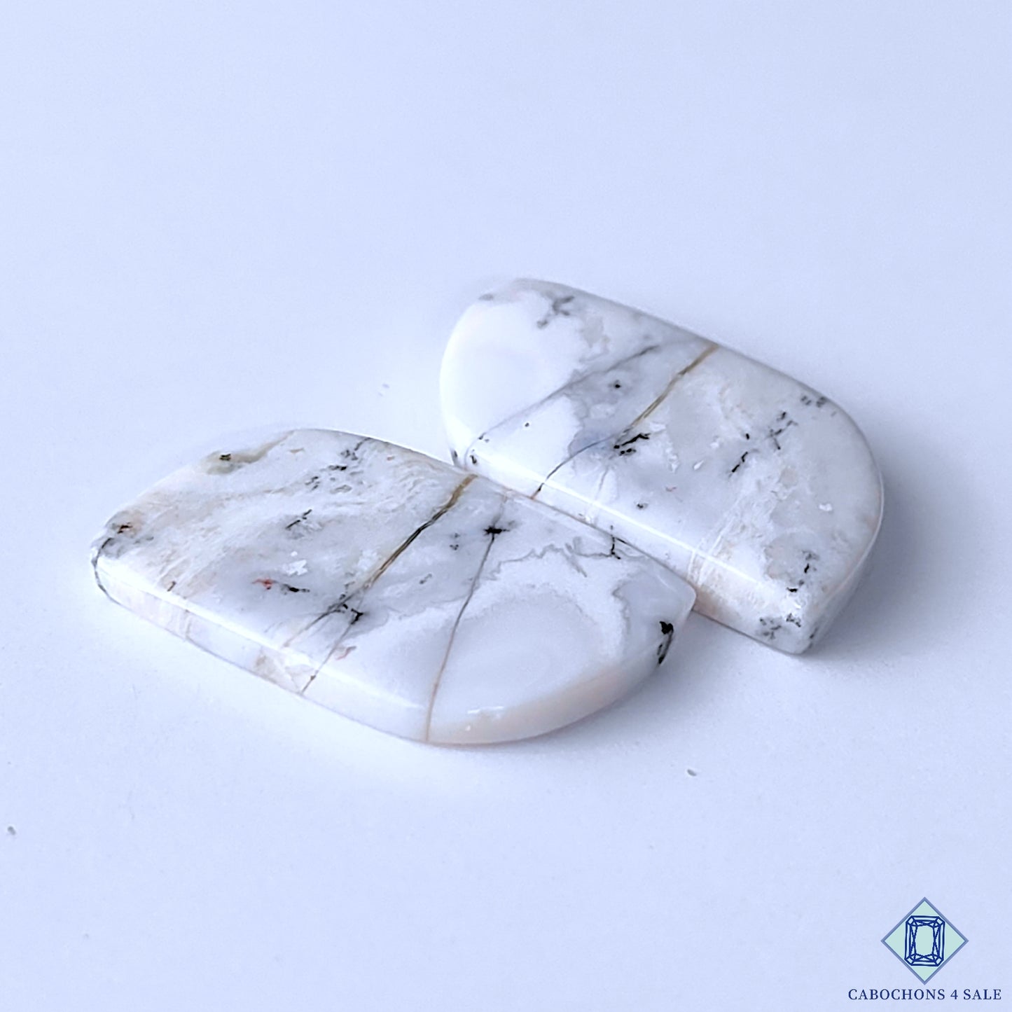 Dendritic Opal