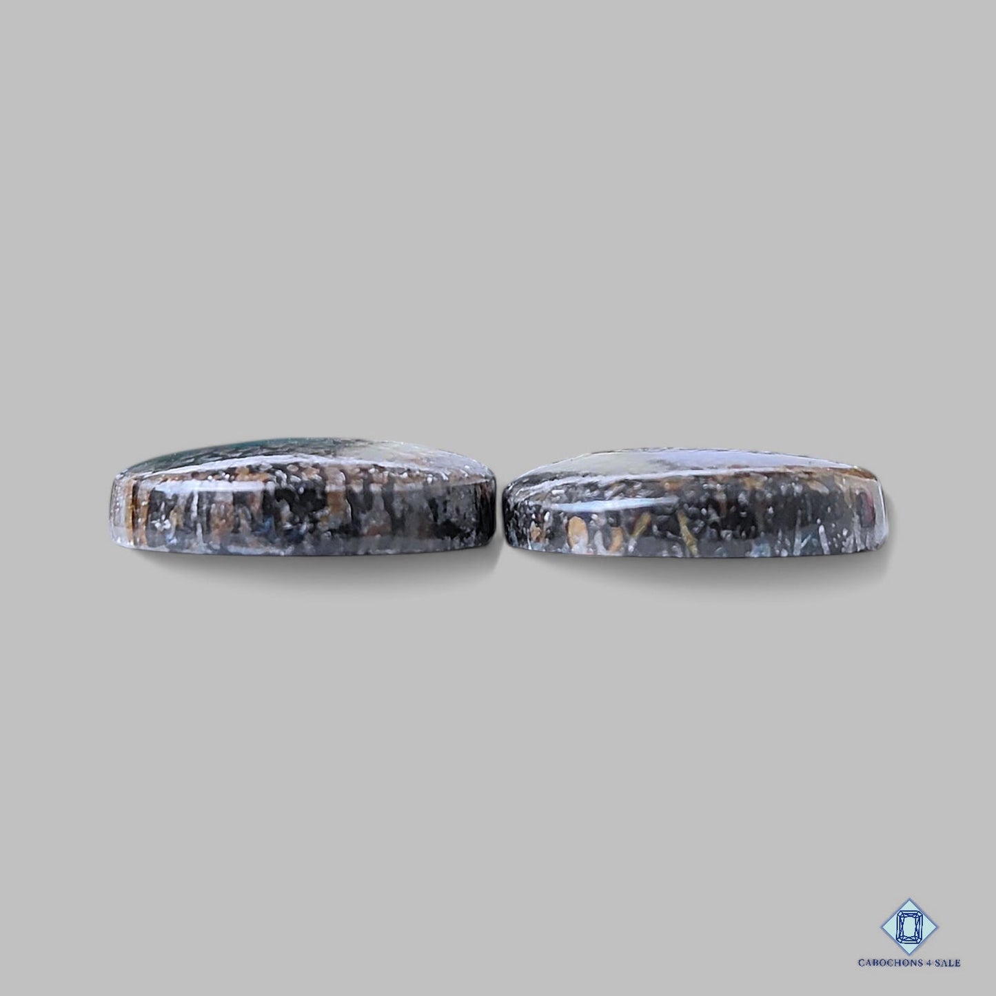 Natural Dinosaur Bone Gemstone Pear Pairs 24*15*4mm from USA available for sale