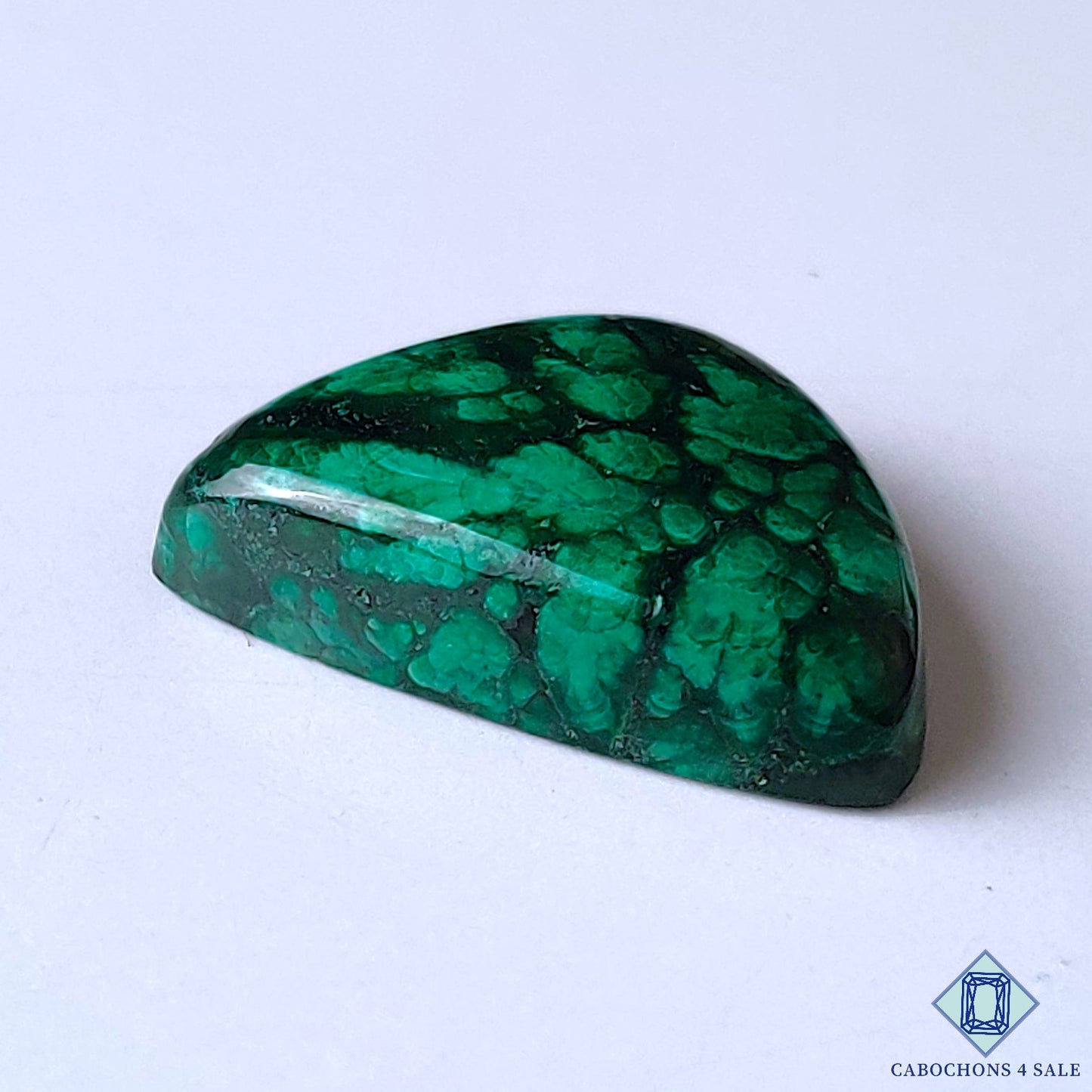 Forest Malachite