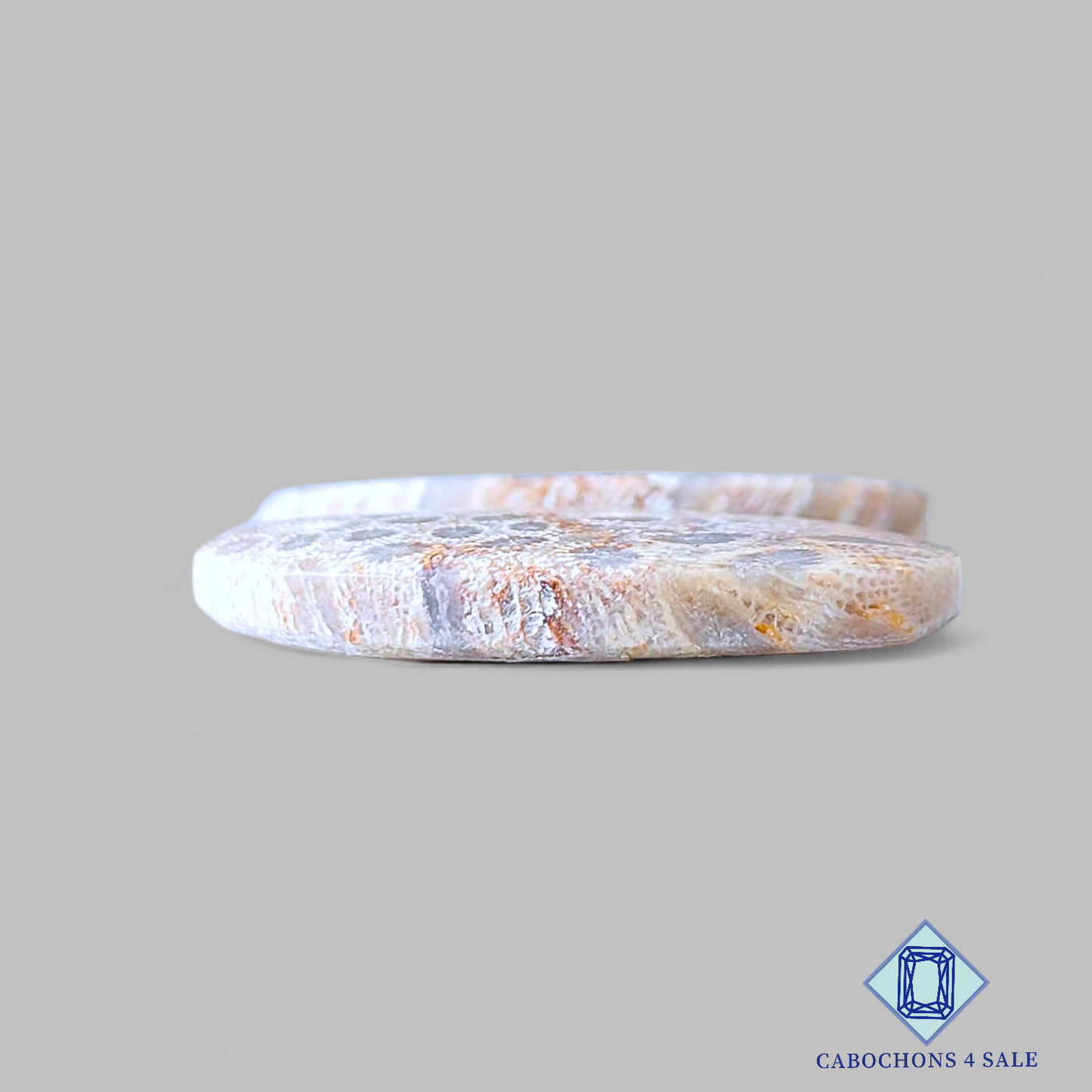 Pares ovalados de corales fósiles