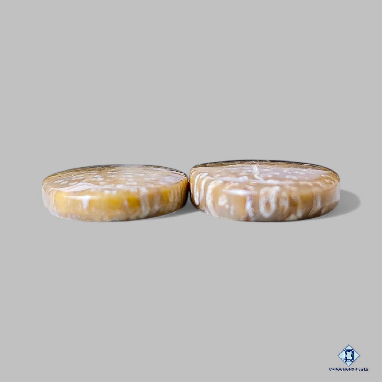 Natural Fossil Coral Gemstone Oval Pairs 25*14*4mm from Indonesia available for sale