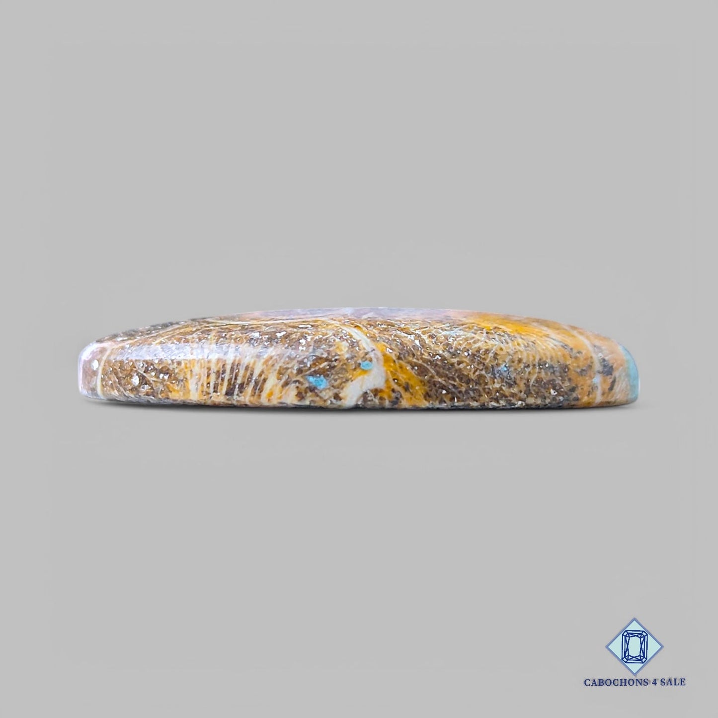 Natural Fossil Coral Gemstone Oval Cabochons 37*24*6mm from Indonesia available for sale