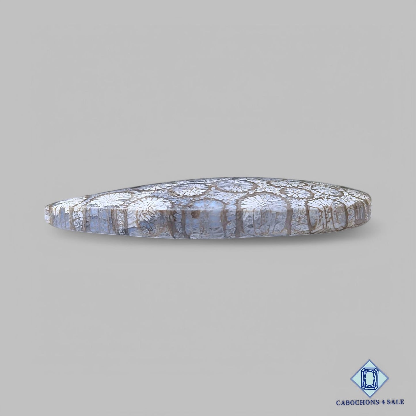 Cabujones de coral fósil natural en forma de pera de 42 x 23 x 6 mm, de Indonesia, disponibles para la venta.