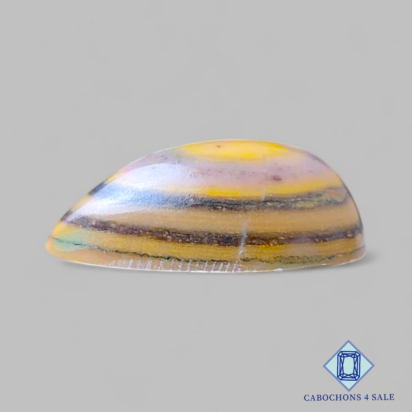 Cabujones de pera de jaspe de nogal