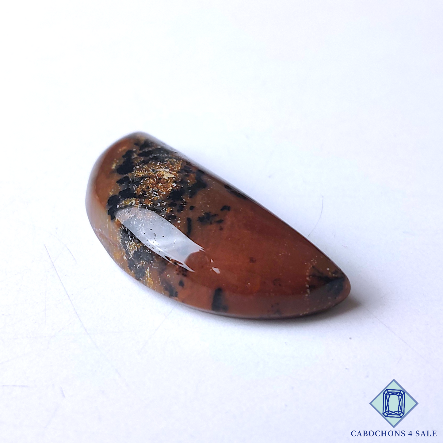 Honey Dendritic Agate
