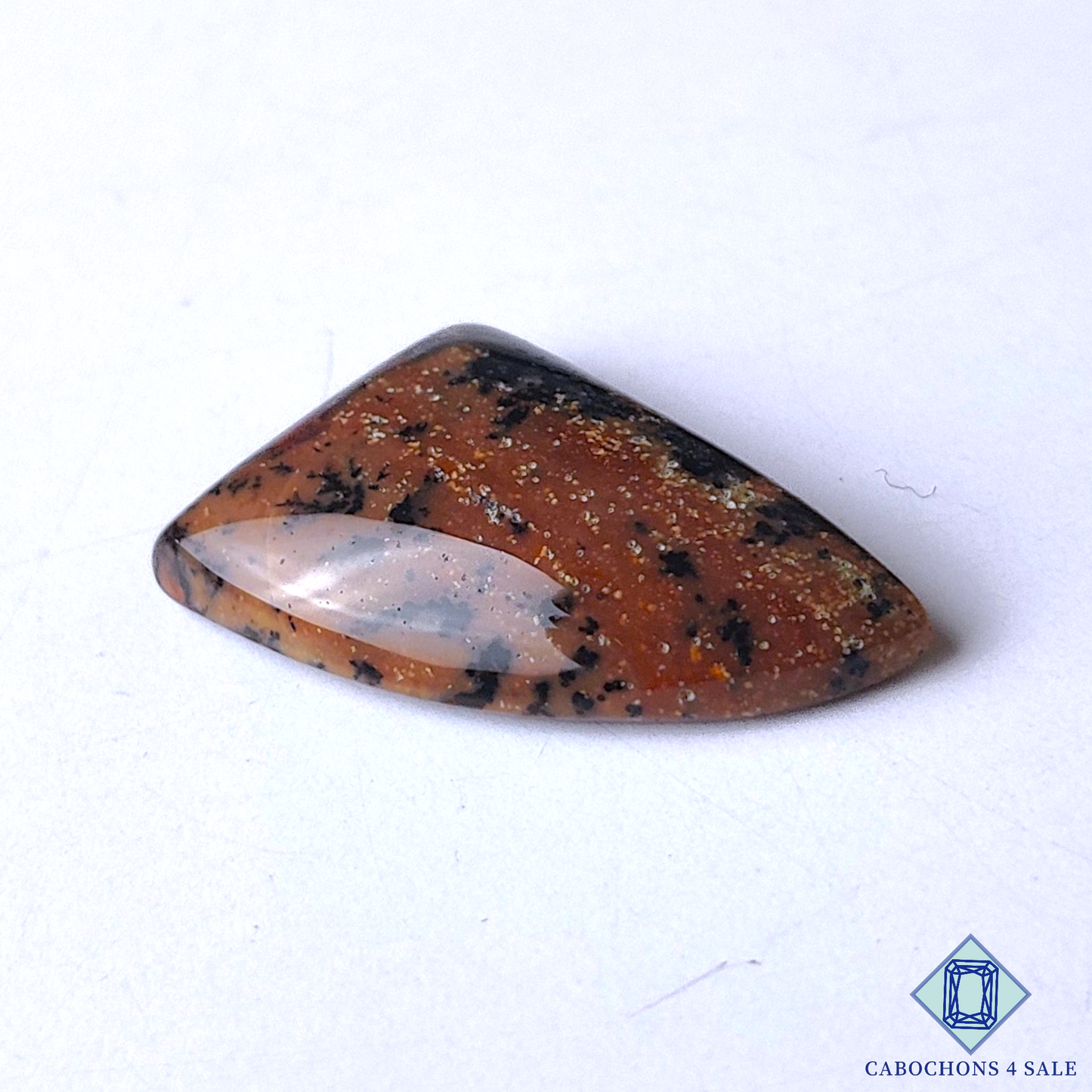 Honey Dendritic Agate