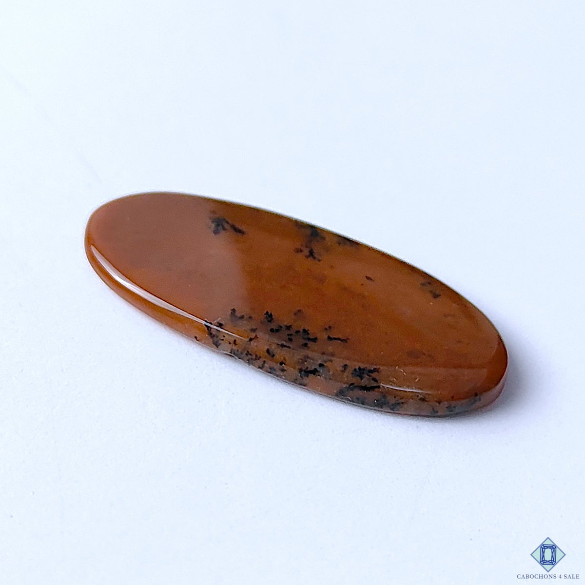 Honey Dendritic Opal