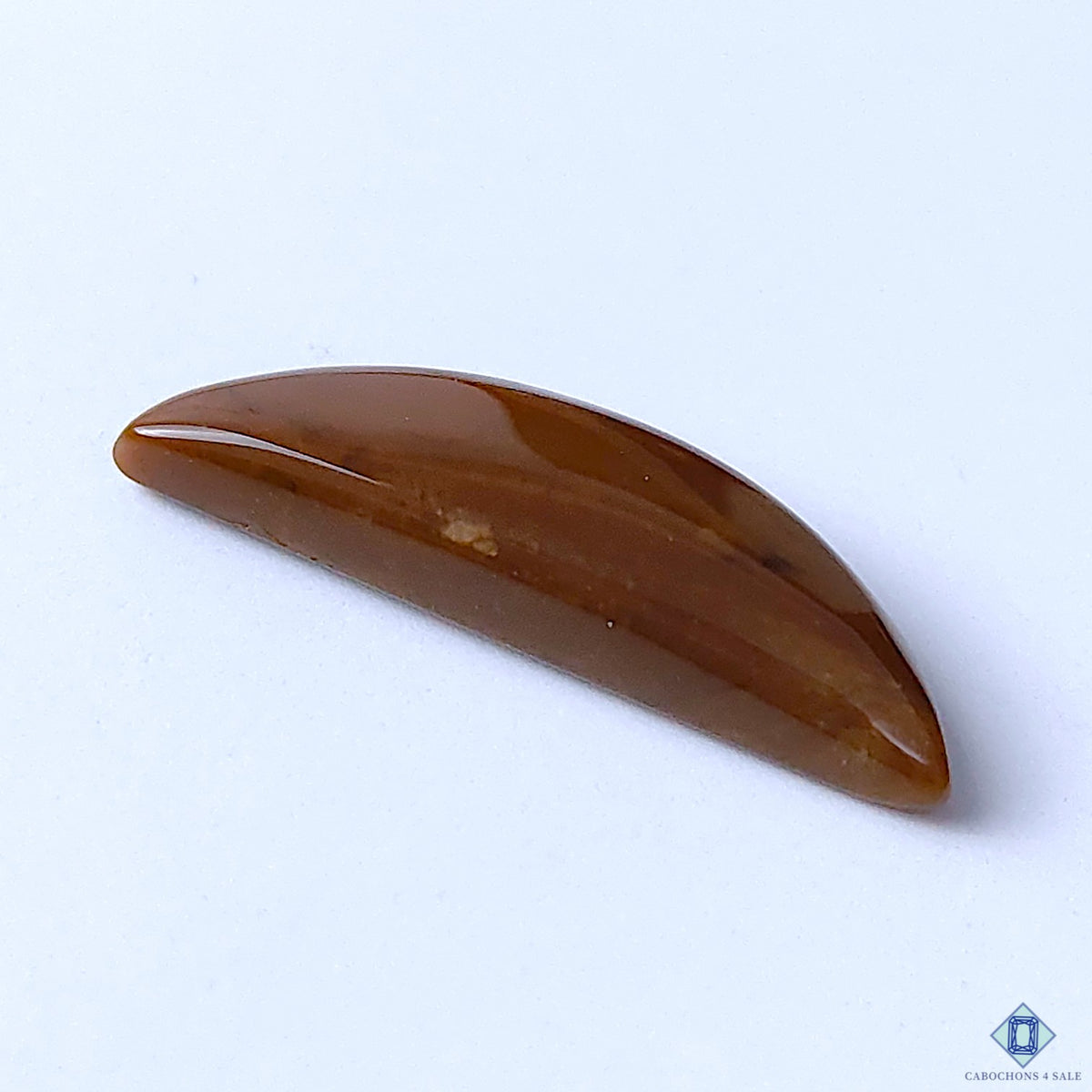 Honey Dendritic Opal