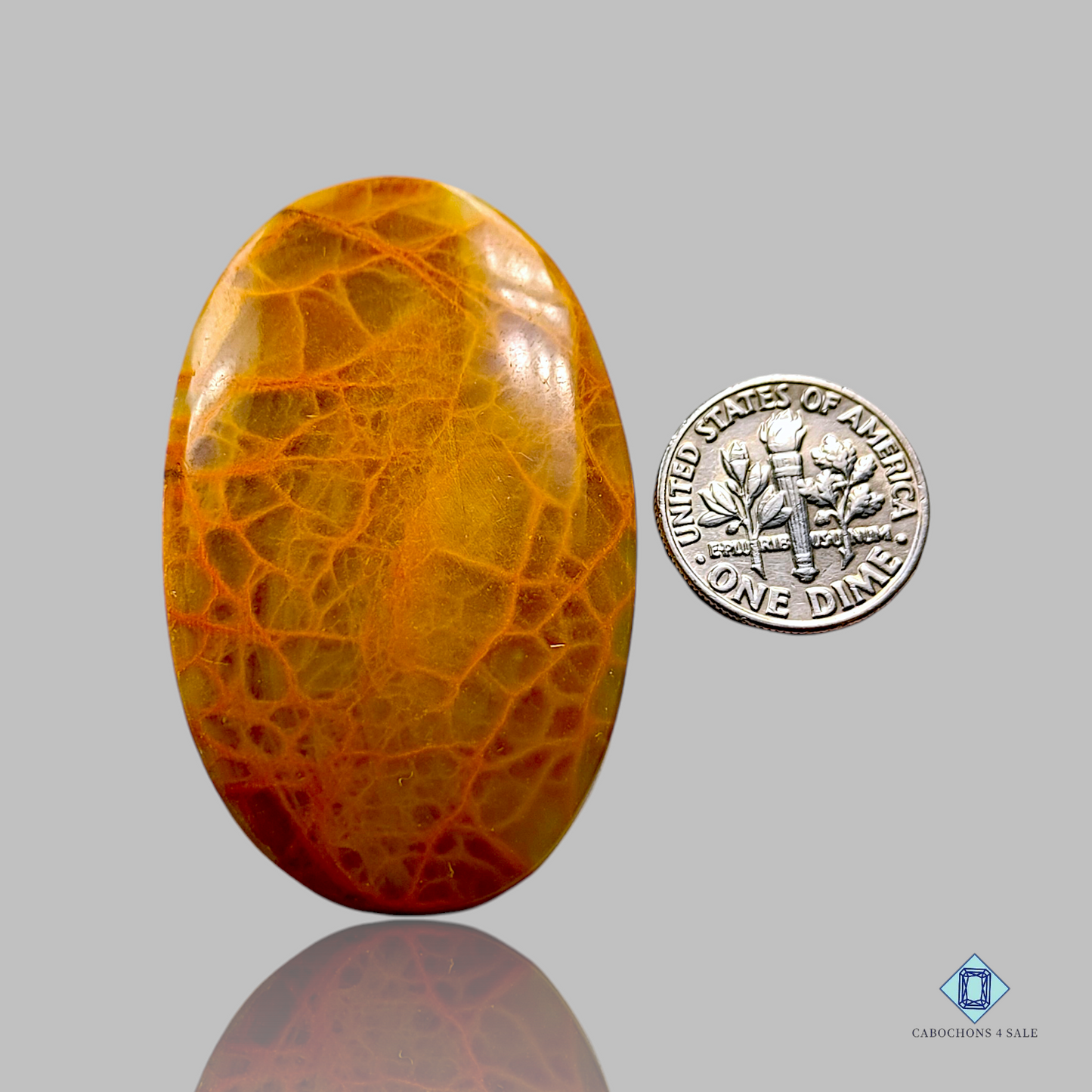 Indian Spider Web Jasper