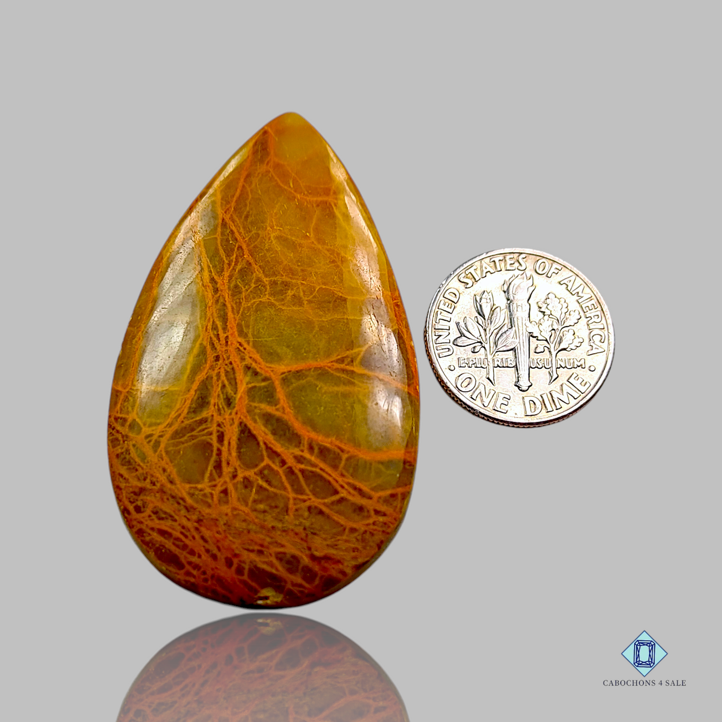 Indian Spider Web Jasper