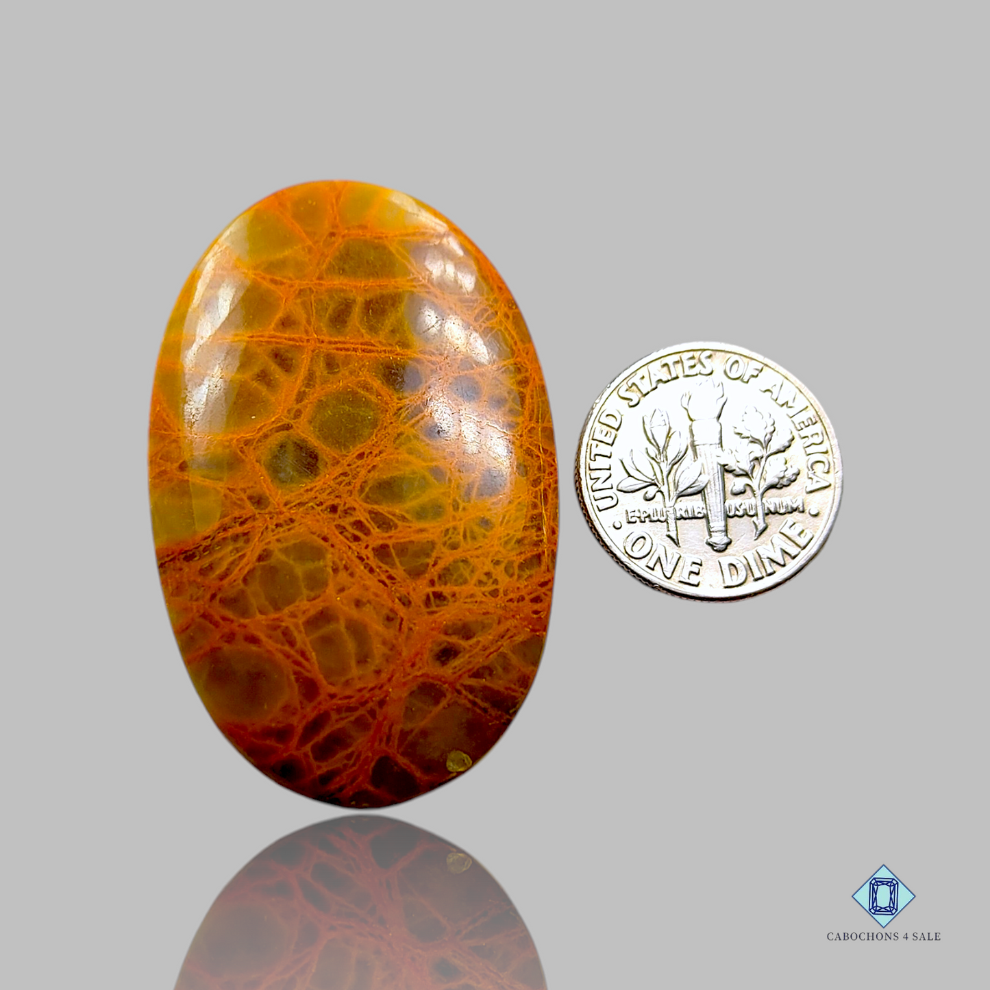 Indian Spider Web Jasper