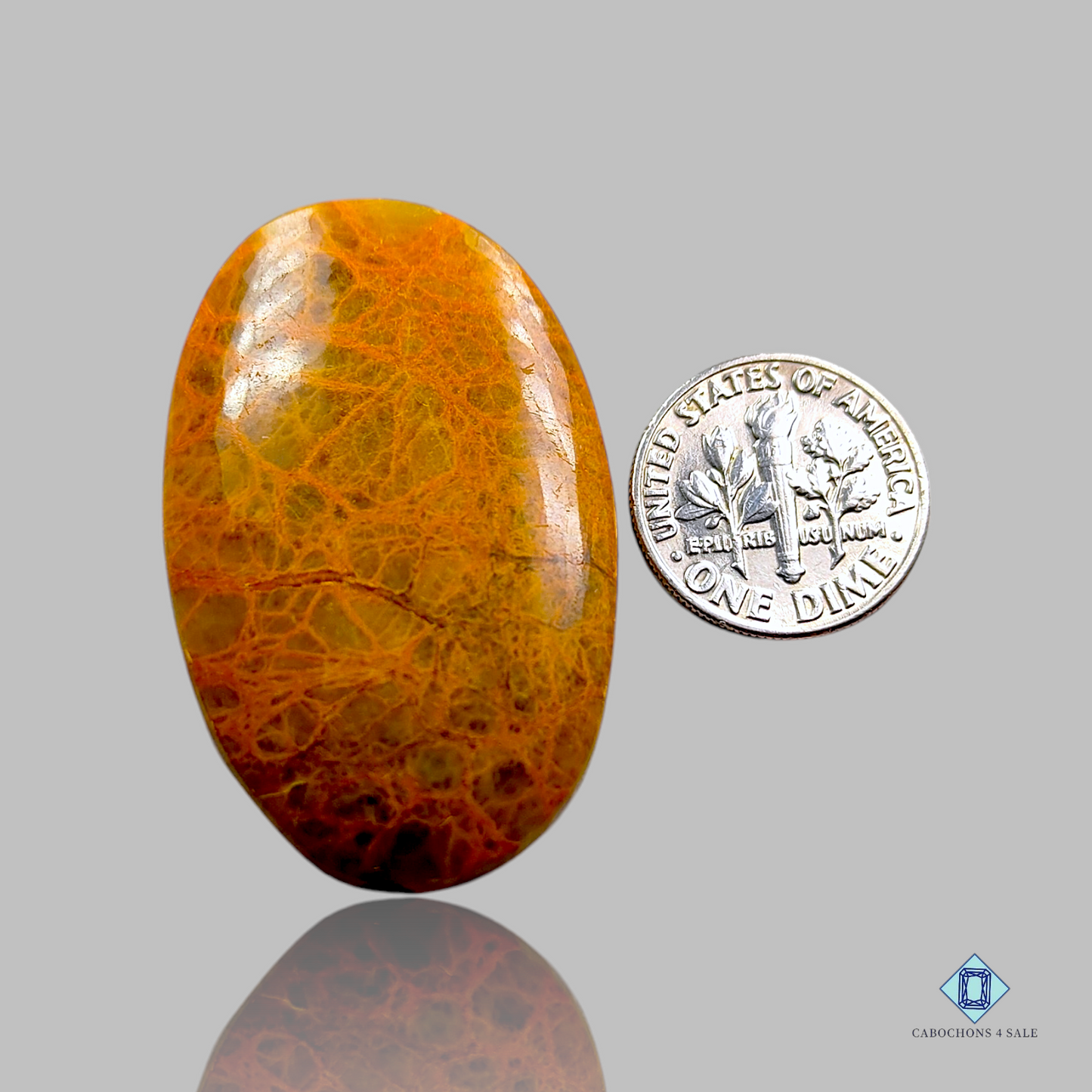 Indian Spider Web Jasper