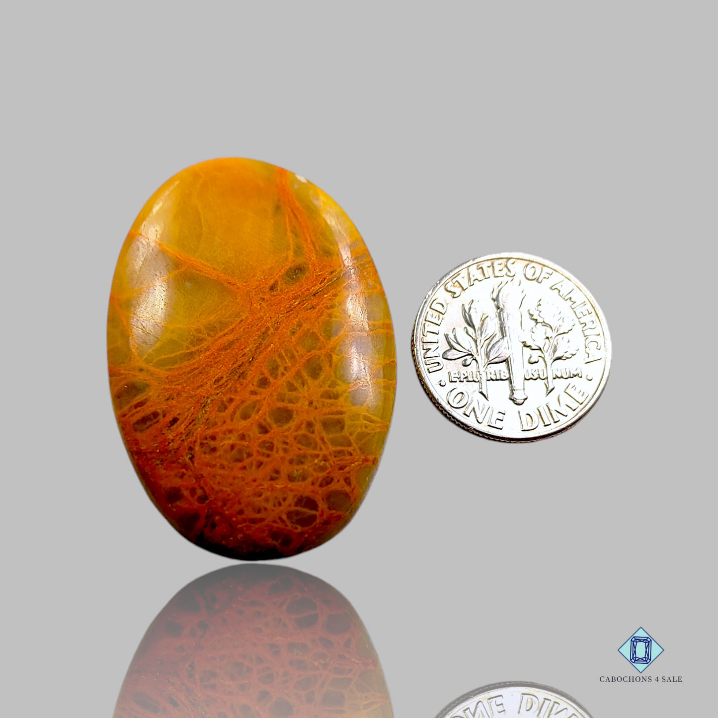 Indian Spider Web Jasper