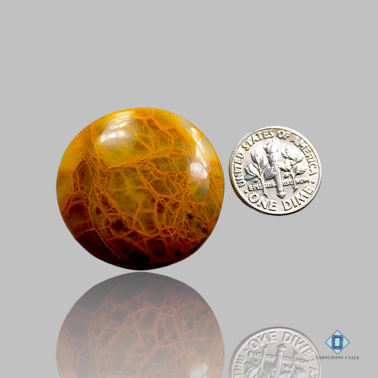 Indian Spider Web Jasper