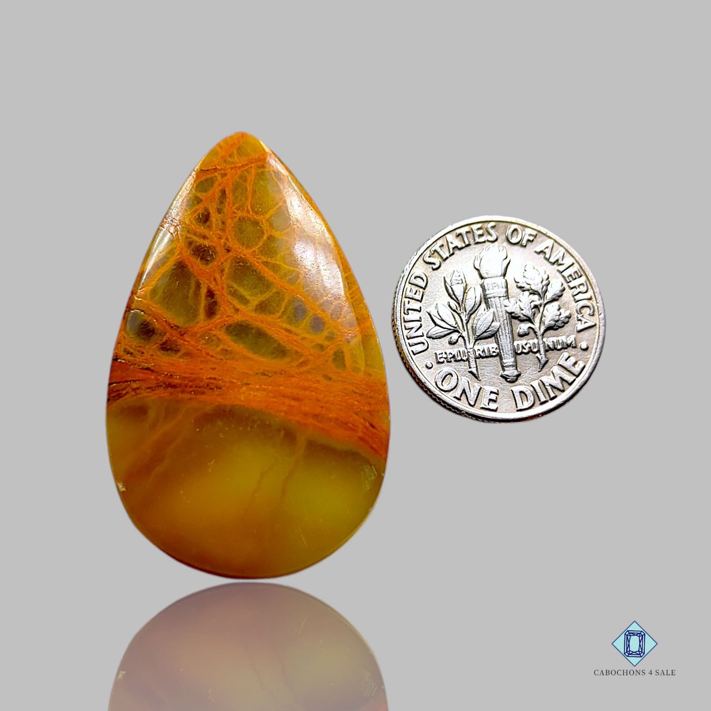 Indian Spider Web Jasper