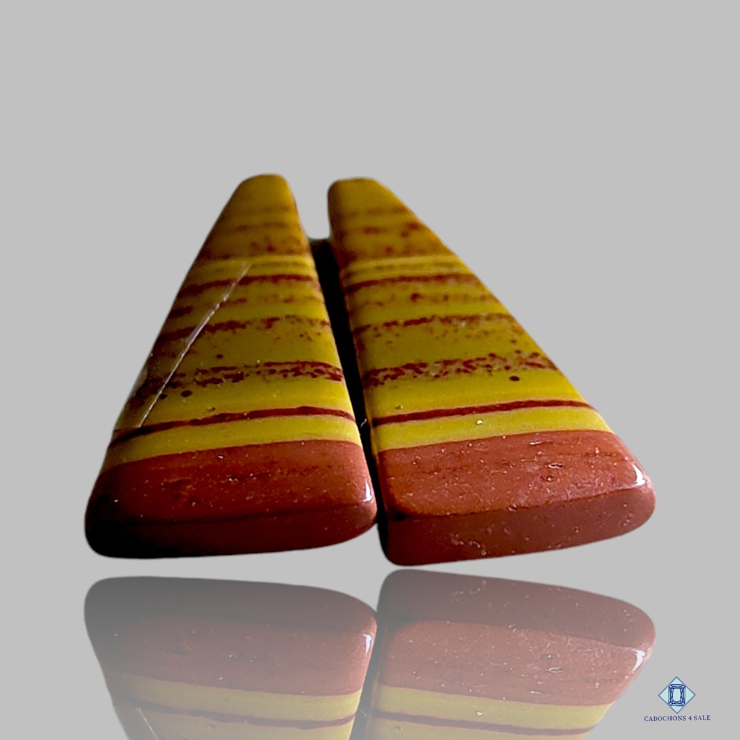 Pares de lujo de jaspe Owyhee