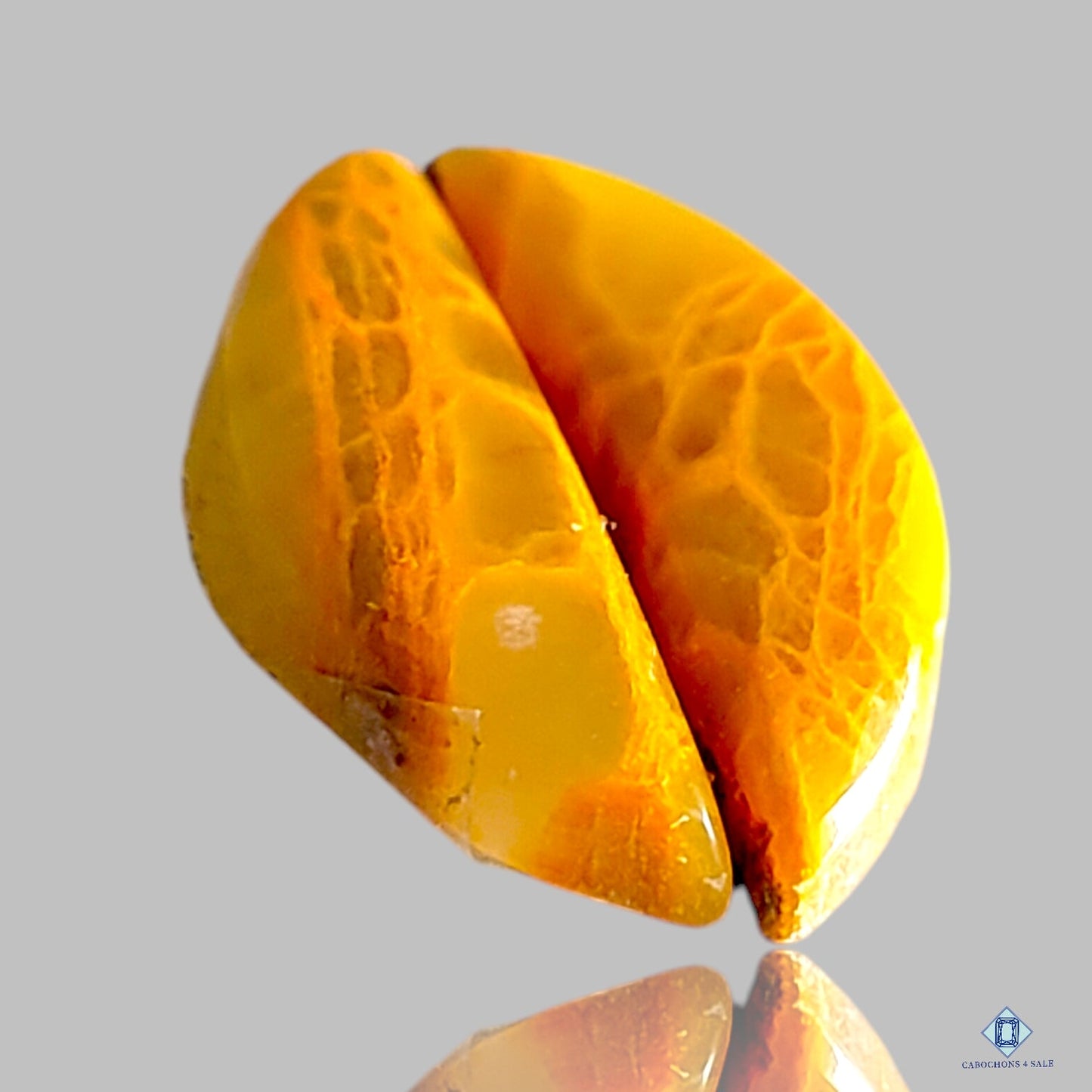 Pares de fantasía de jaspe indio