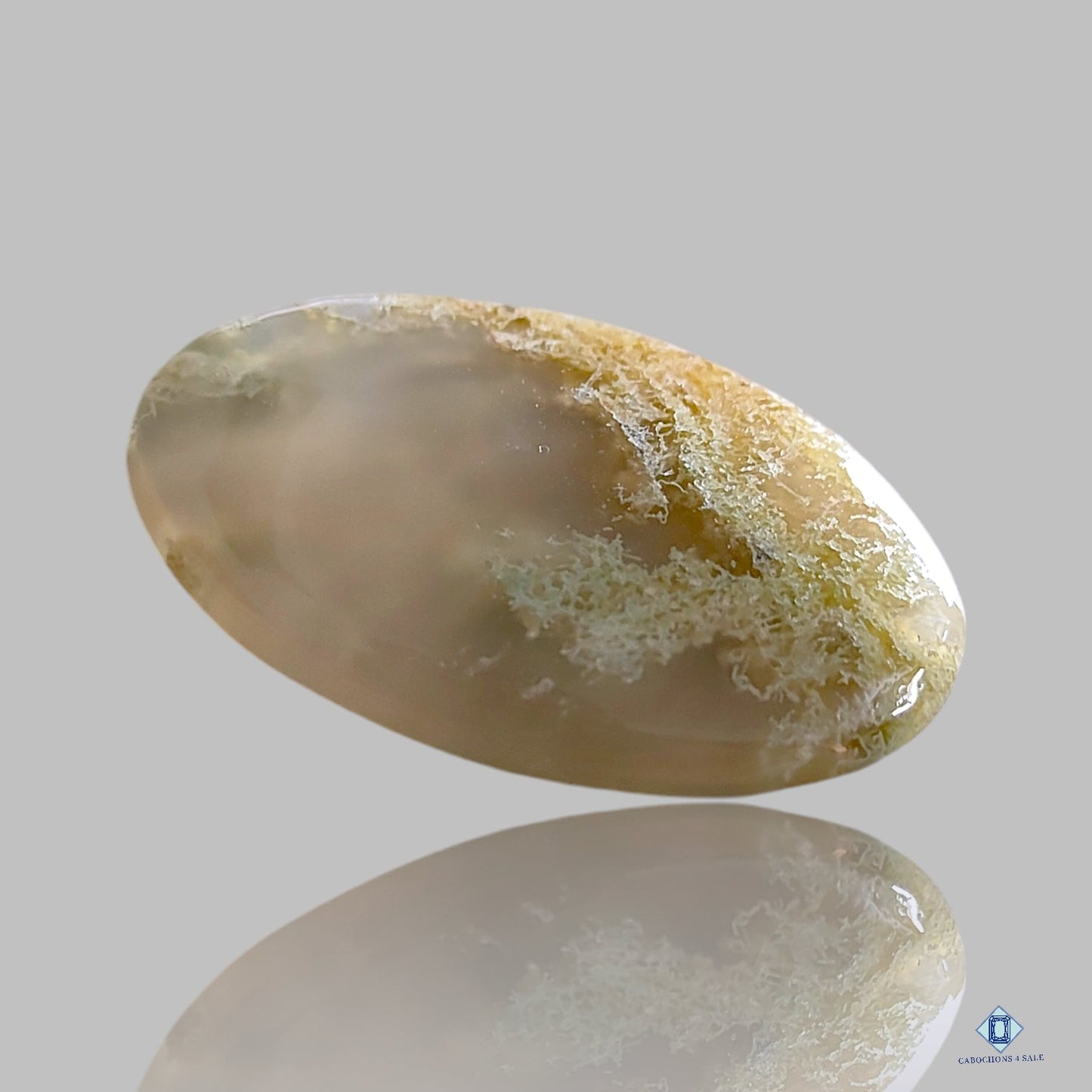 Cabujones ovalados de ágata musgosa de Indonesia