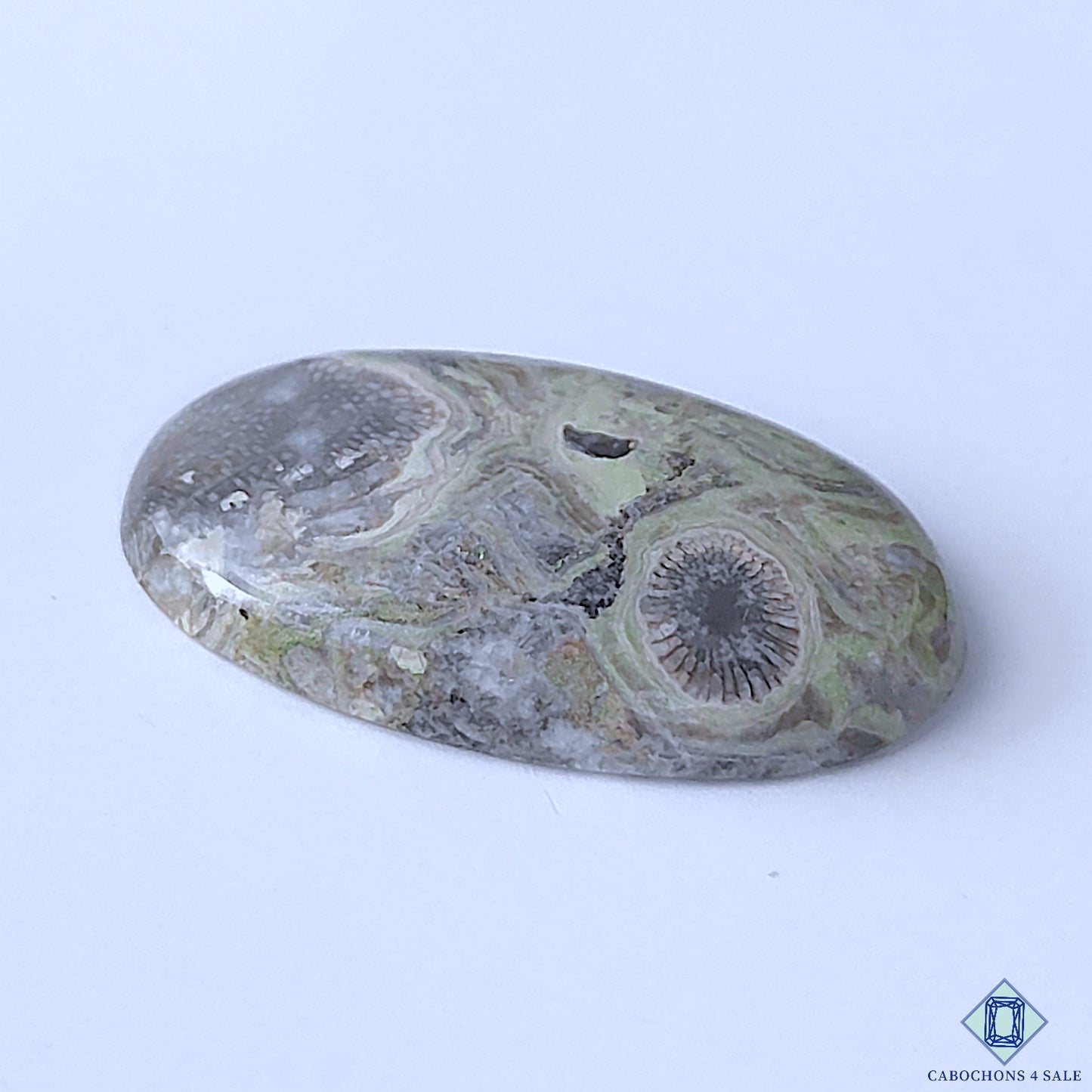 Kambaba Jasper