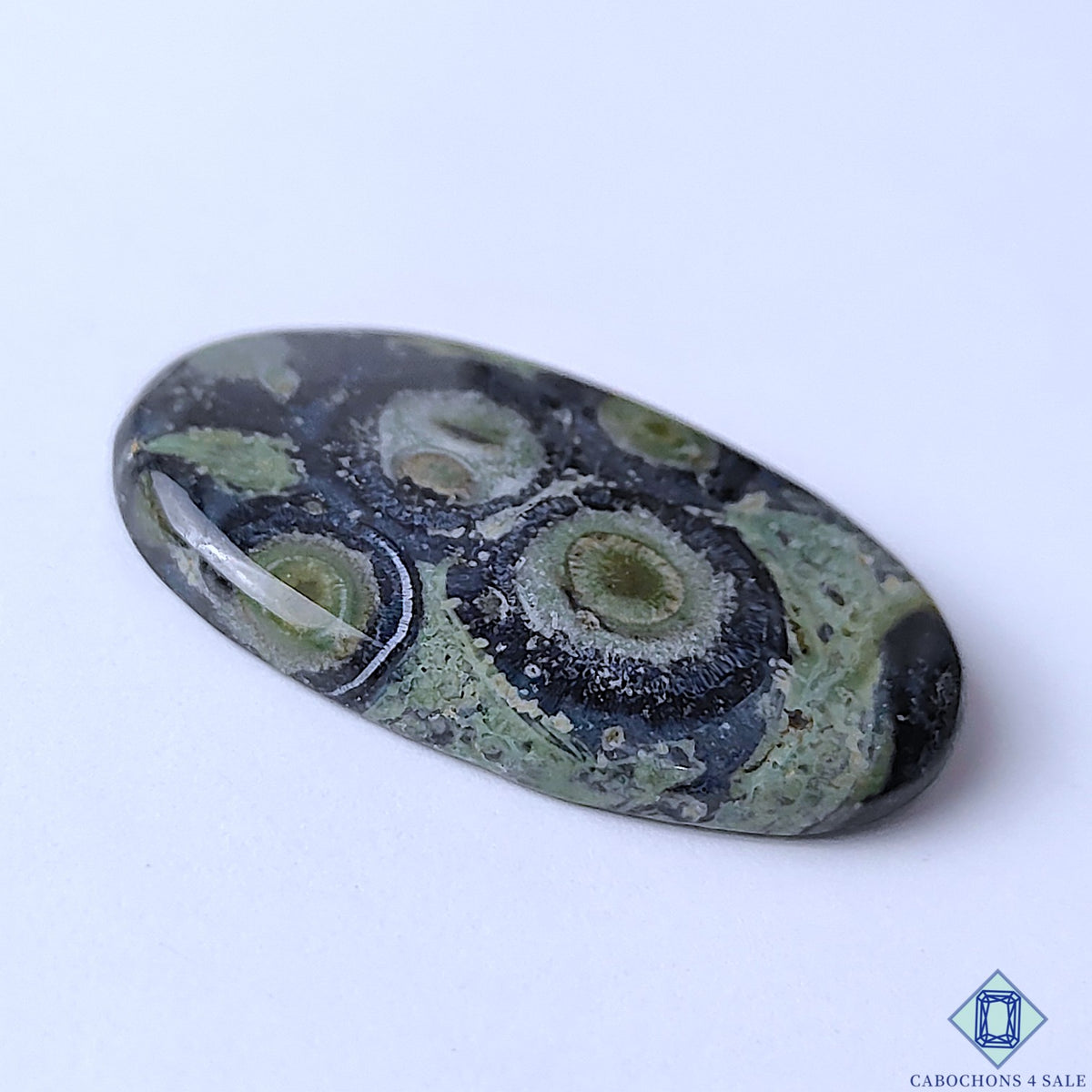 Kambaba Jasper