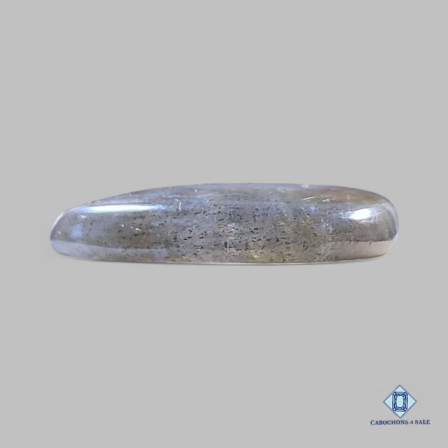 Cabujones de pera de labradorita de plata