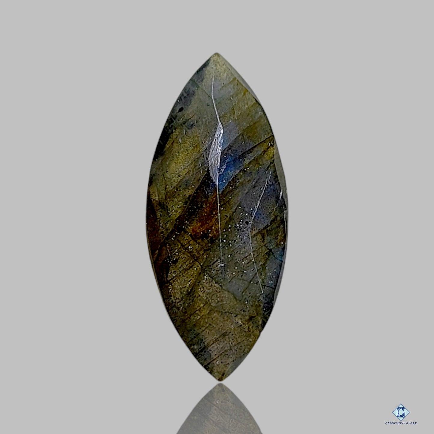 Blue Labradorite Marquise All Cuts
