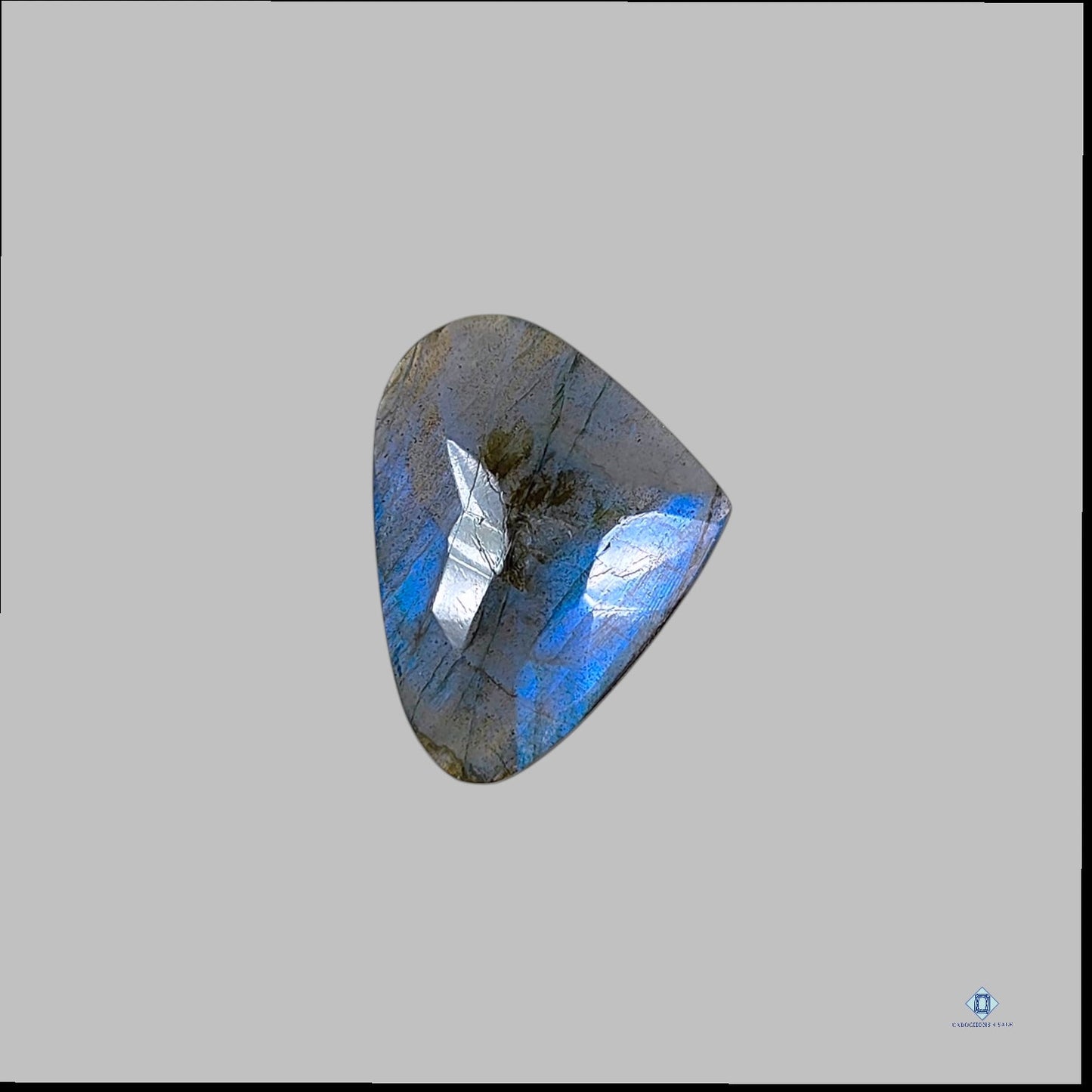 Blue Labradorite Fancy All Cuts