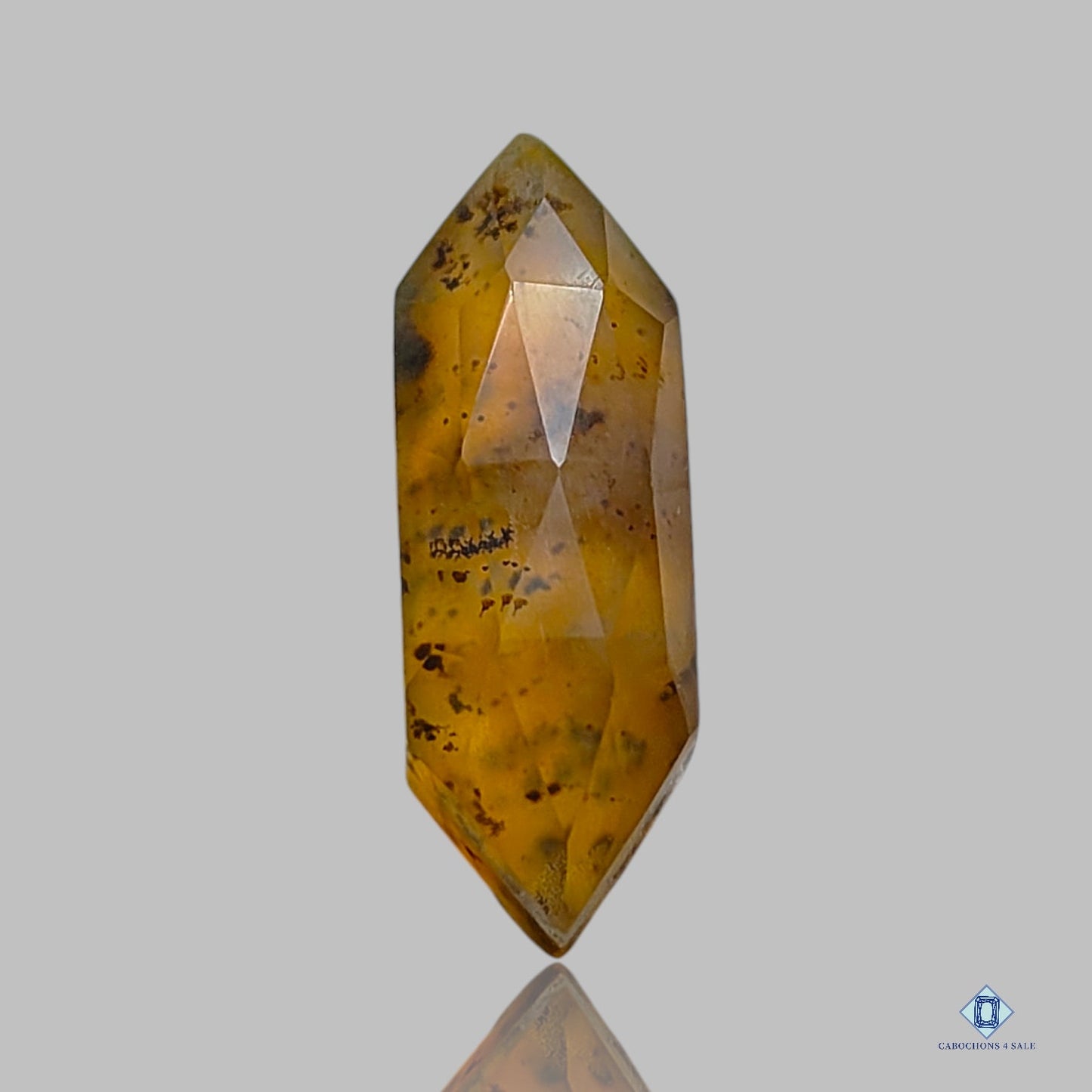 Montana Agate + Crystal Quartz Doublets Hexagon Doublets