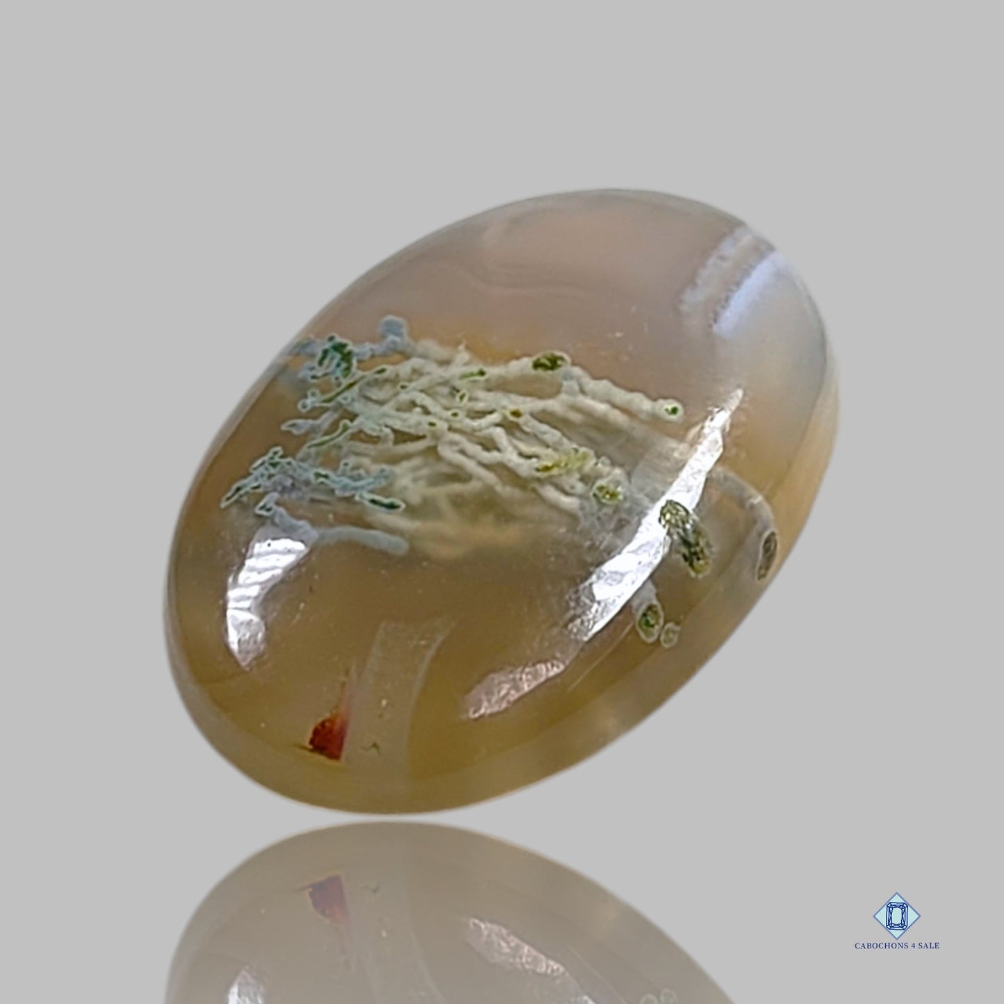 Cabujones ovalados de ágata musgosa