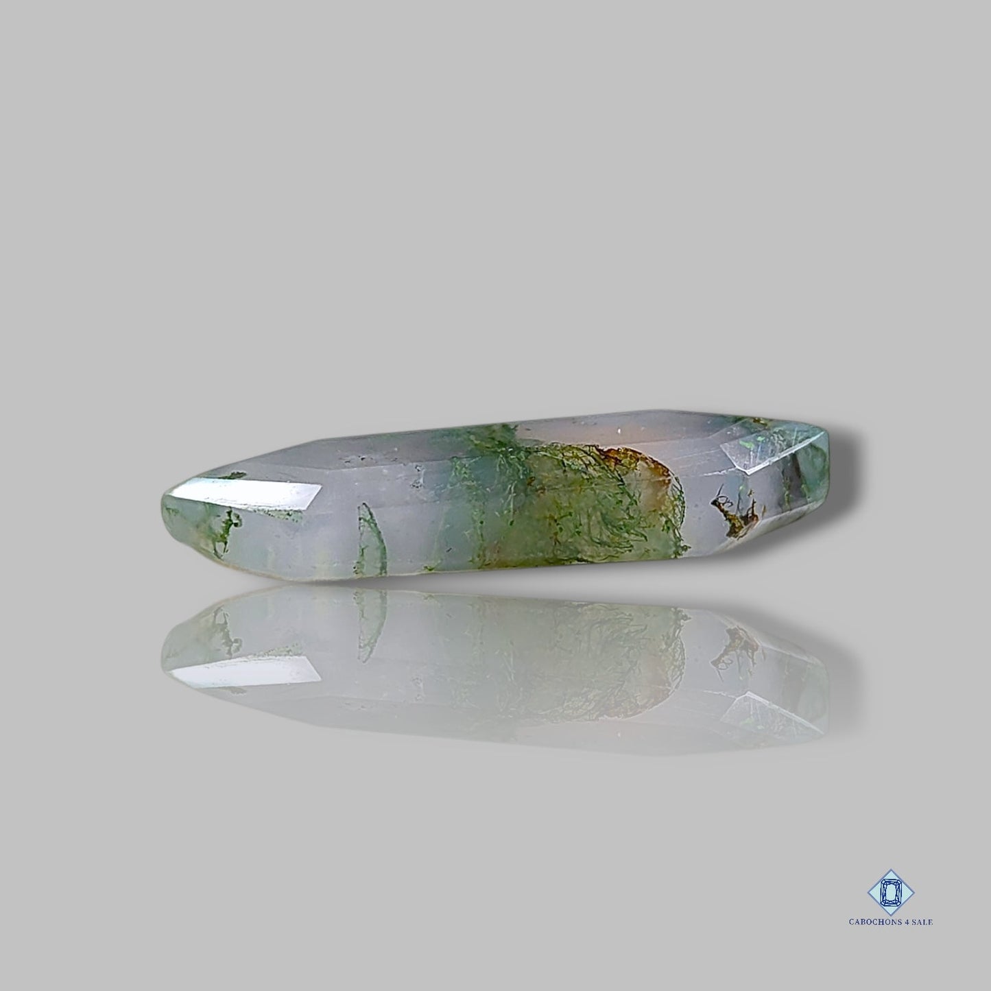 Moss Agate Hexagon All Cuts