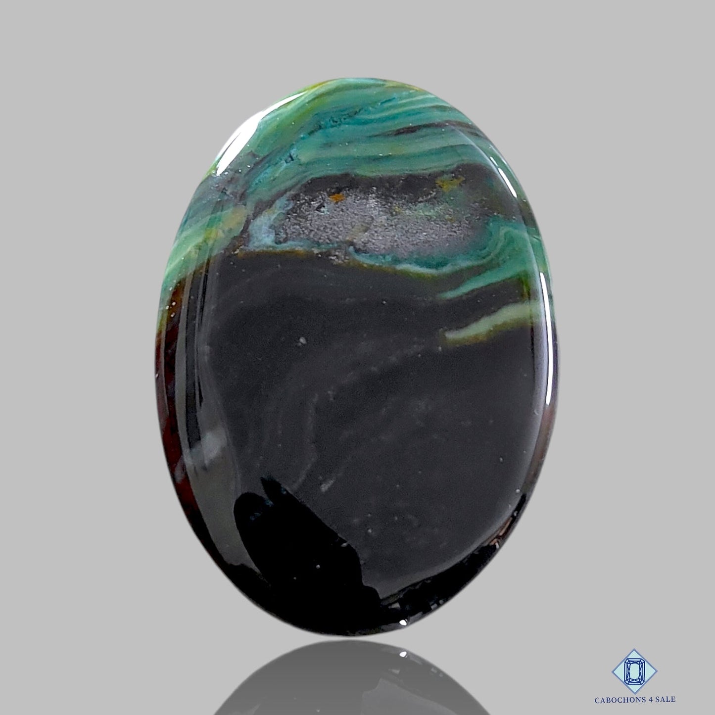 Cabujones ovalados de piedra de palma de ágata musgosa