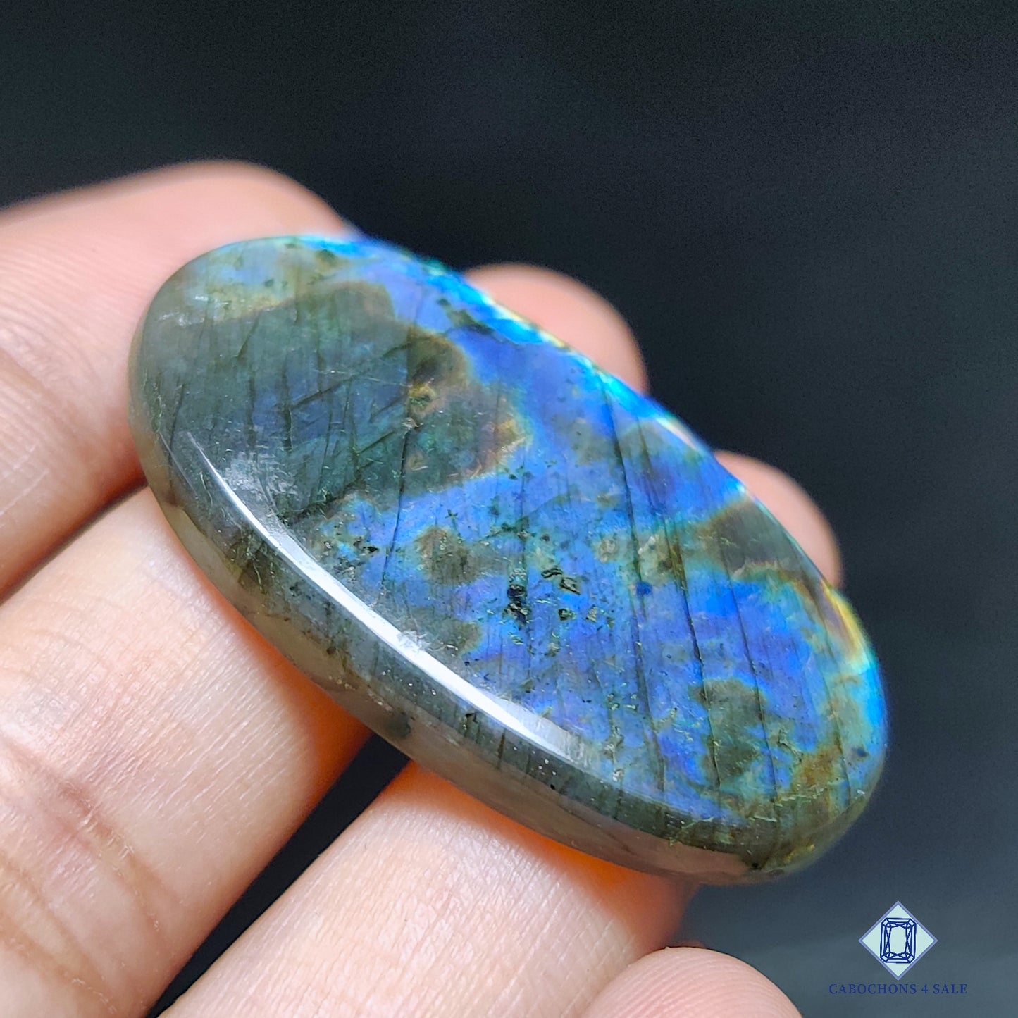 Multi Spectrolite