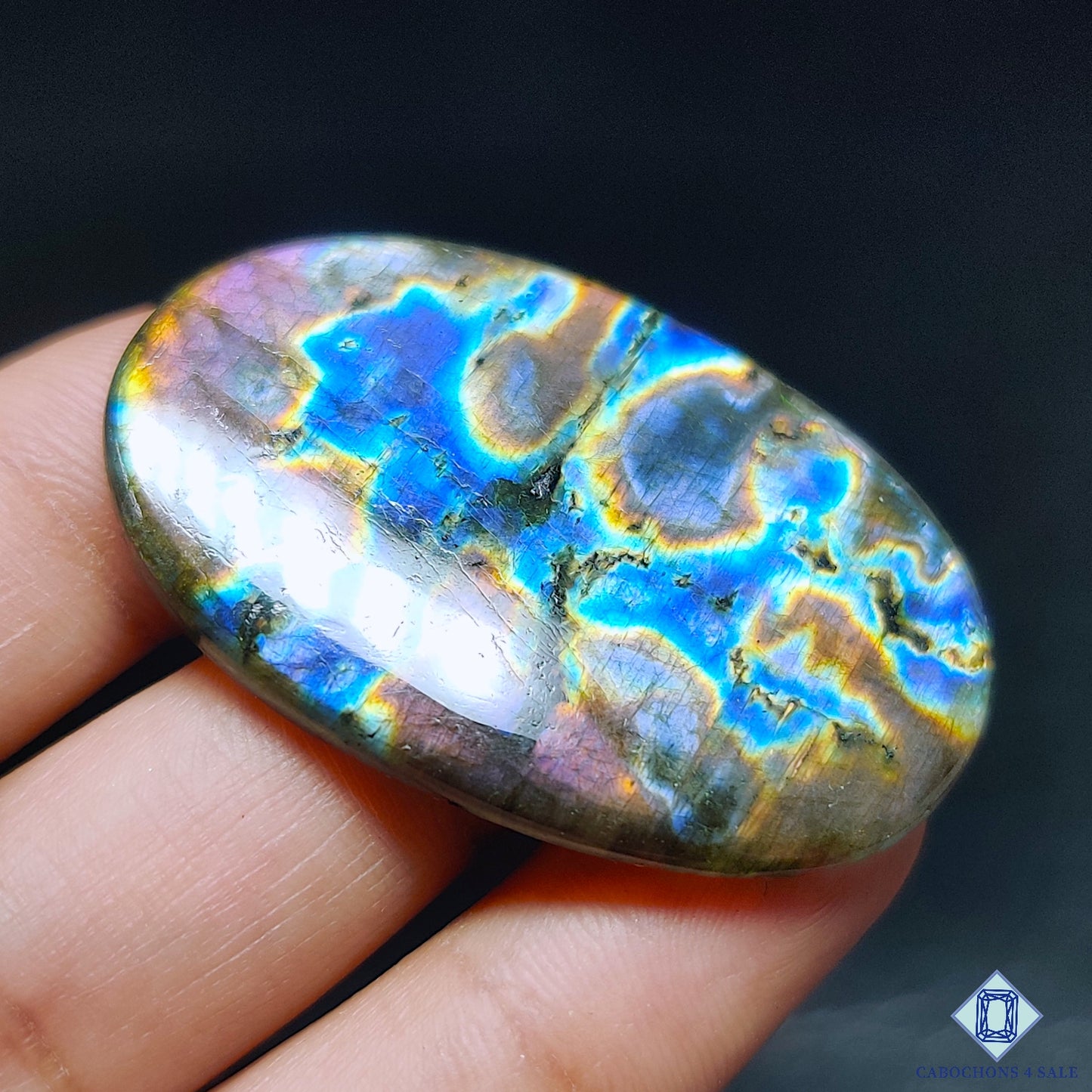 Multi Spectrolite