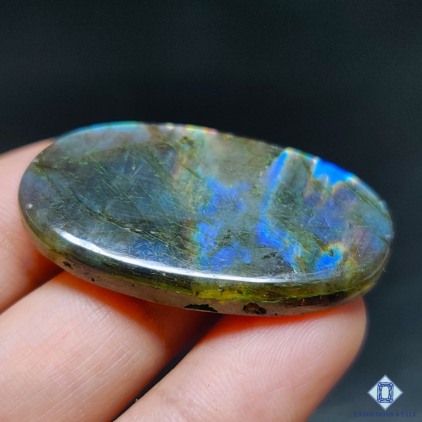 Multi Spectrolite