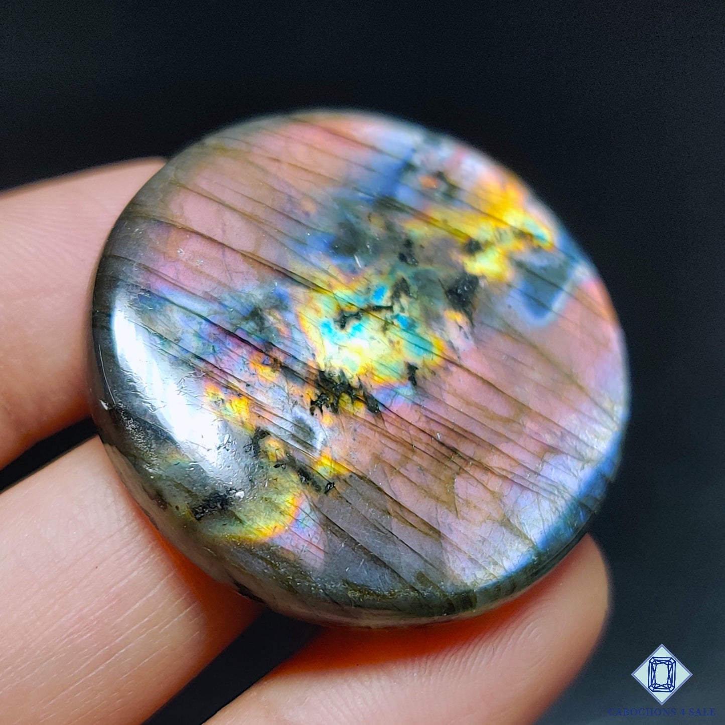 Multi Spectrolite