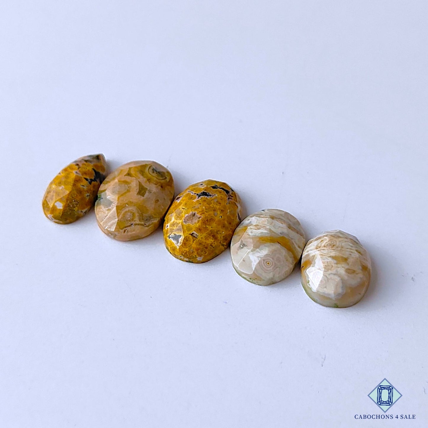 Ocean Jasper