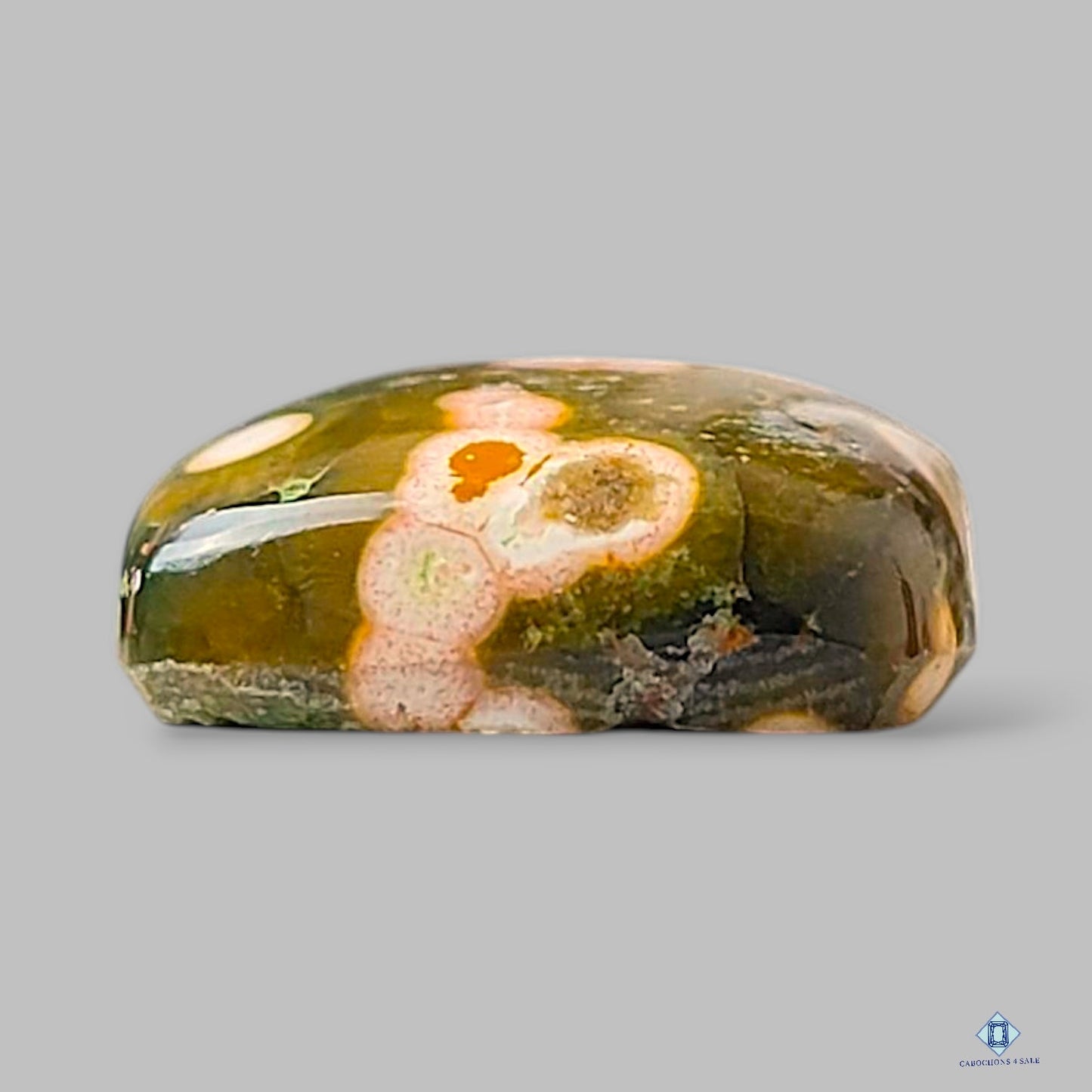 Natural Ocean Jasper Gemstone Rectangle Cabochons 21*15*6mm from Madagascar available for sale
