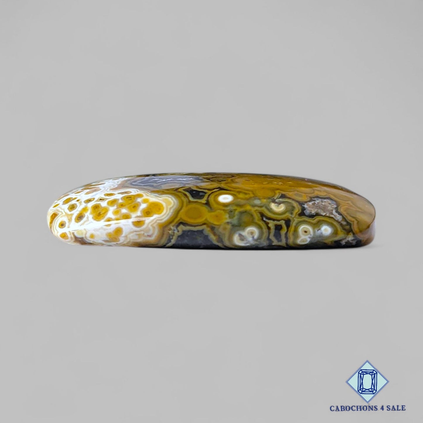 Natural Ocean Jasper Gemstone Rectangle Cabochons 31*21*5mm from Madagascar available for sale