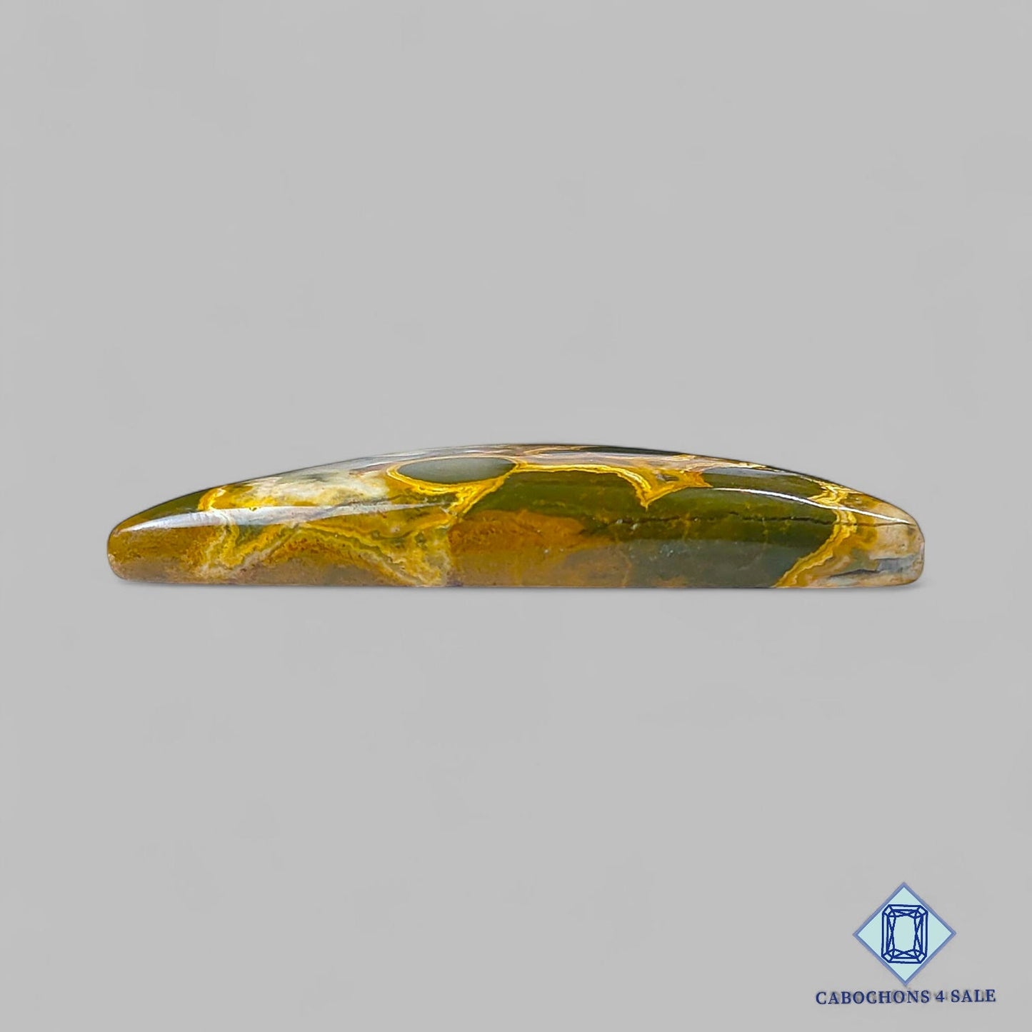 Natural Ocean Jasper Gemstone Fancy Cabochons 39*38*6mm from Madagascar available for sale