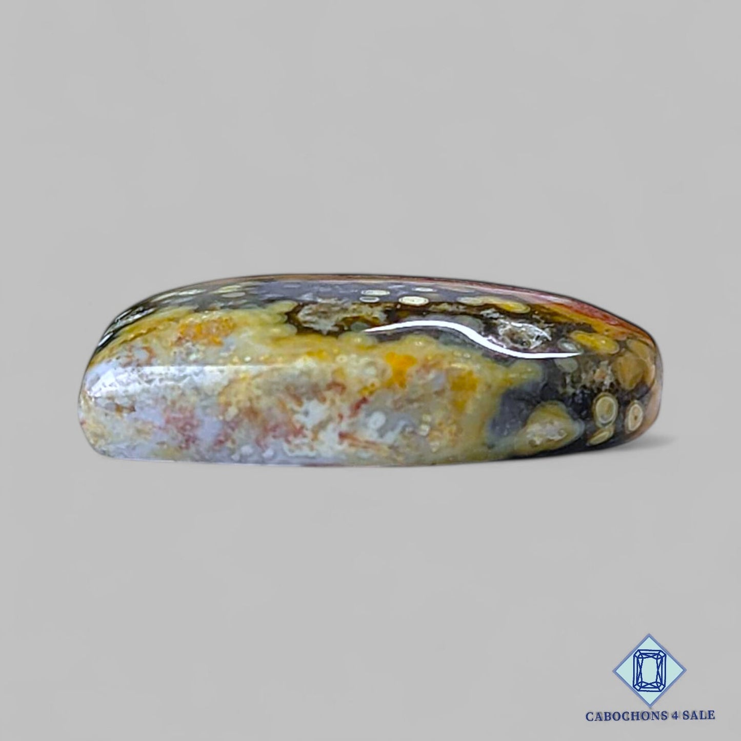 Natural Ocean Jasper Gemstone Fancy Cabochons 23*19*6mm from Madagascar available for sale