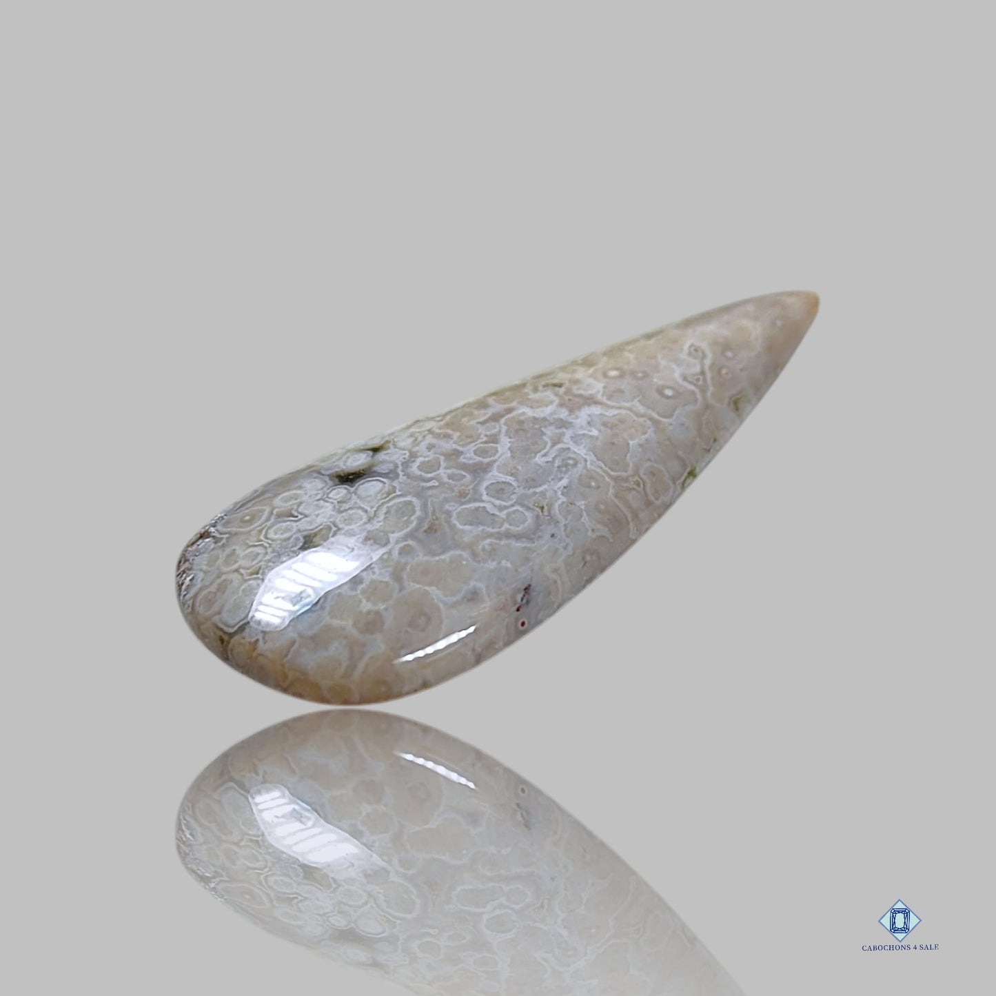 Cabujones de pera de jaspe oceánico orbicular