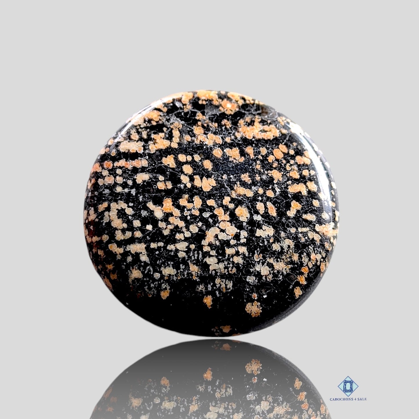 Orbicular Jaspis-Rund-Cabochons